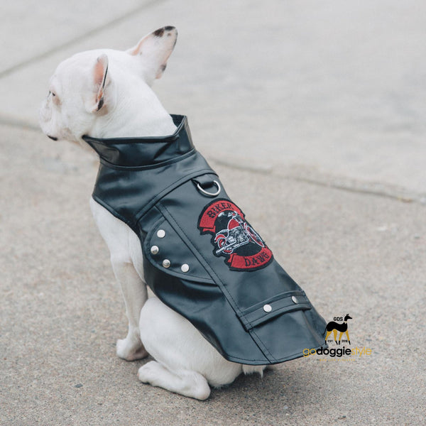 Faux leather dog jacket outlet