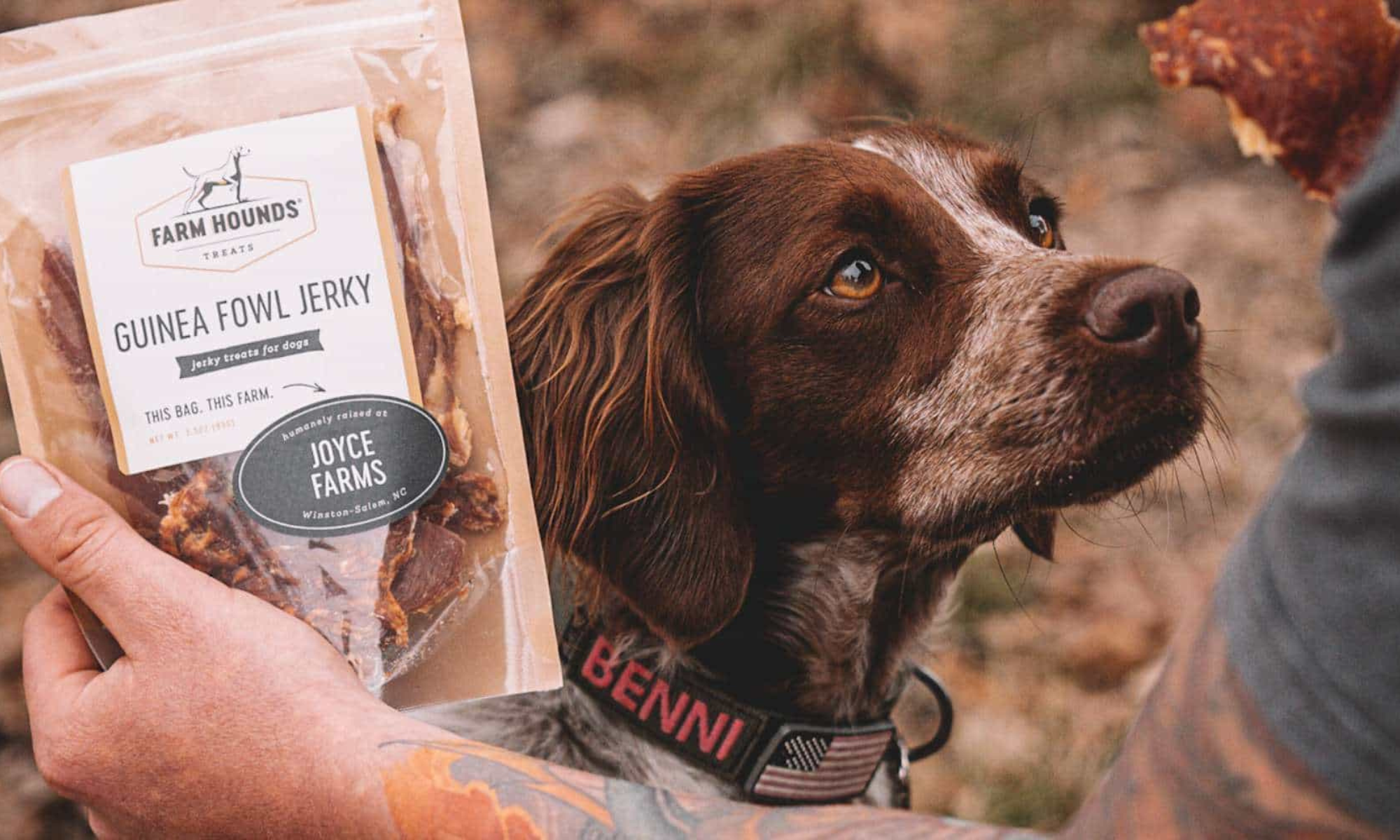 Farm Hounds