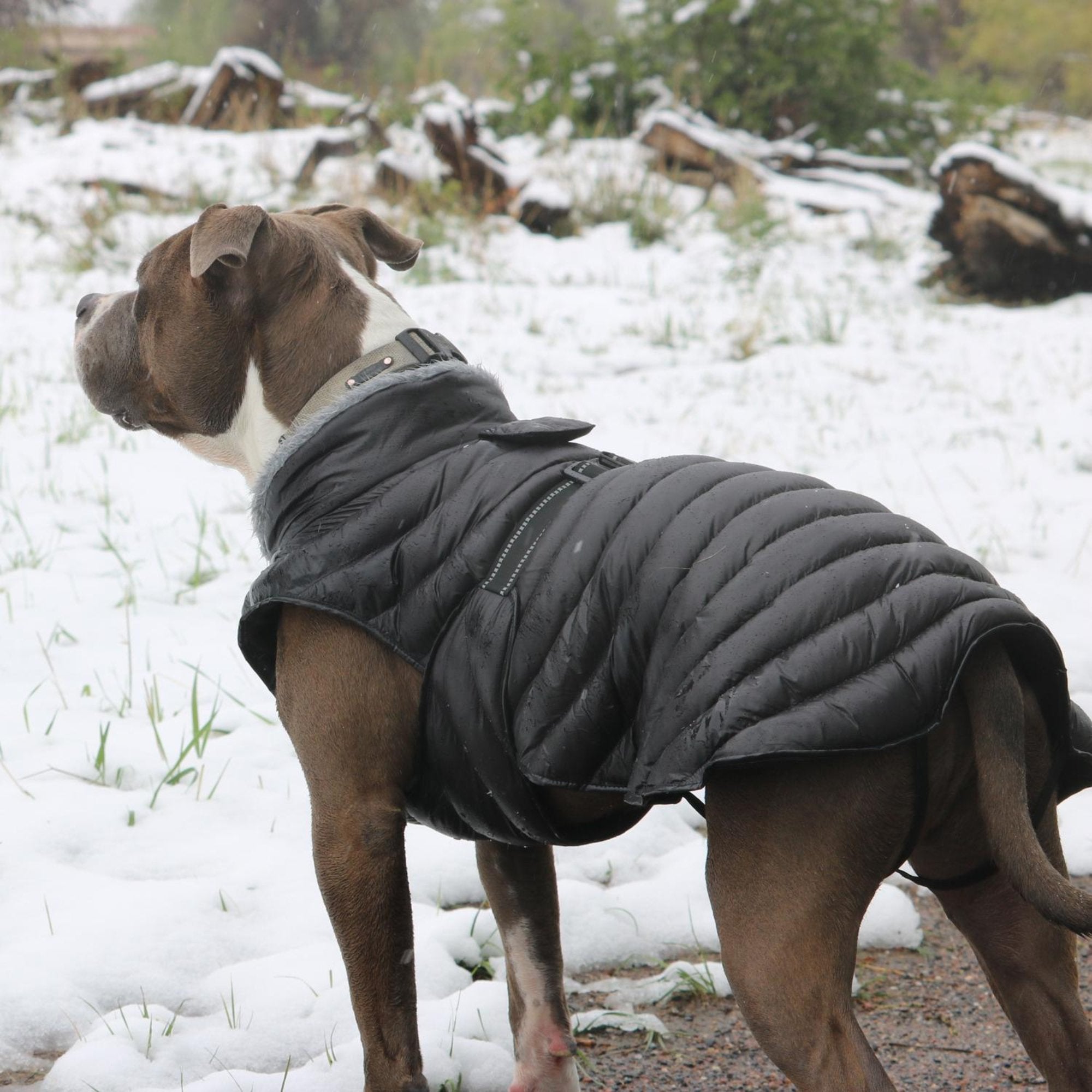 Best Sellers - Our Customers Top Selections! - godoggiestyle