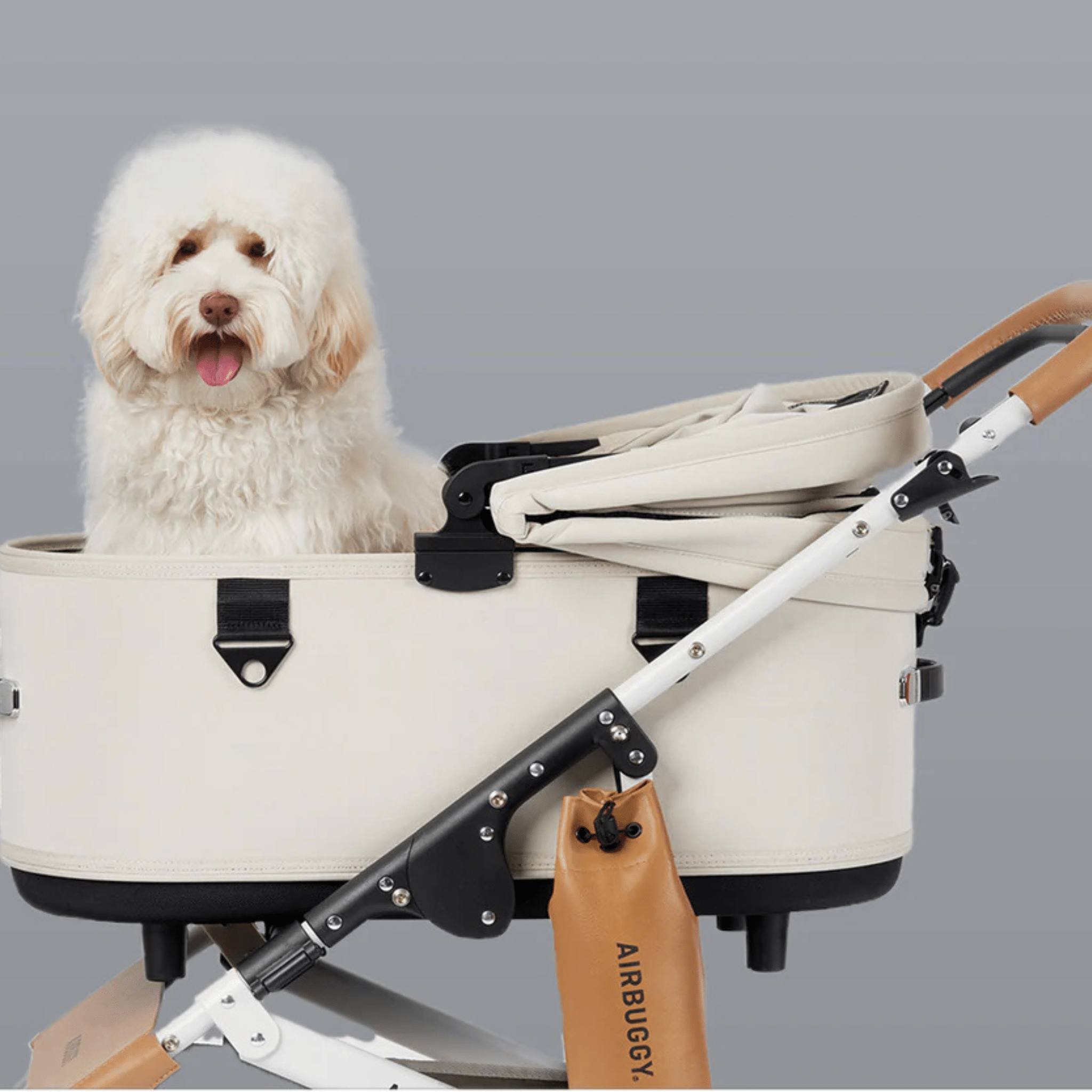 AirBuggy Dog Strollers – Luxury Dog Mobility | Go Doggie Style 