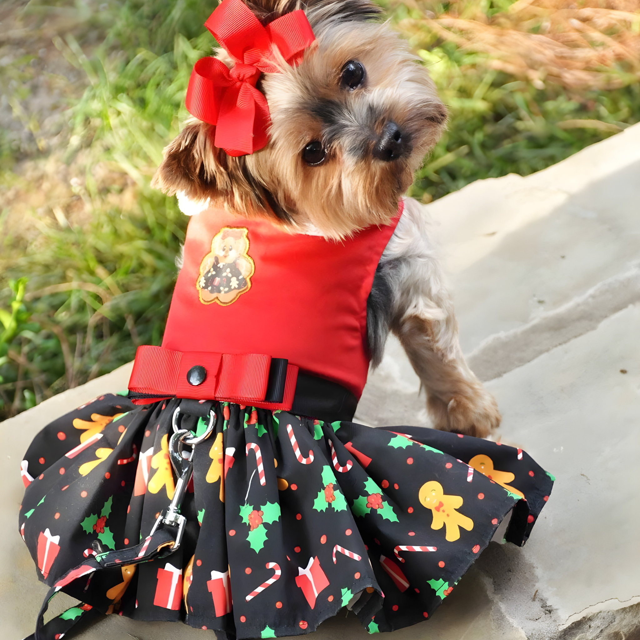 Holiday Dog Harness Dress - Gingerbread