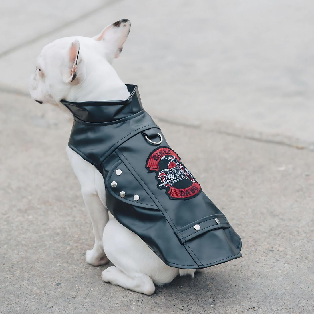 godoggiestyle