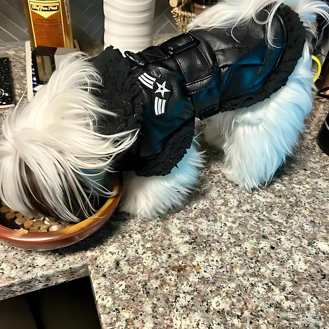 godoggiestyle