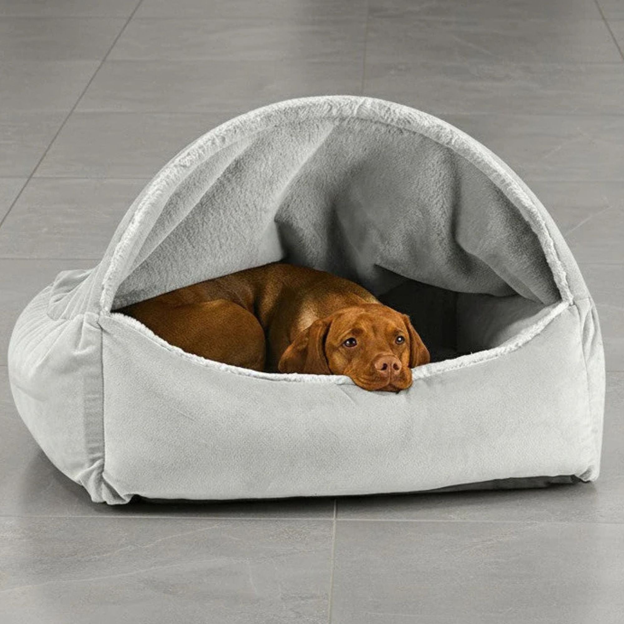 Bowsers Canopy Dog Bed