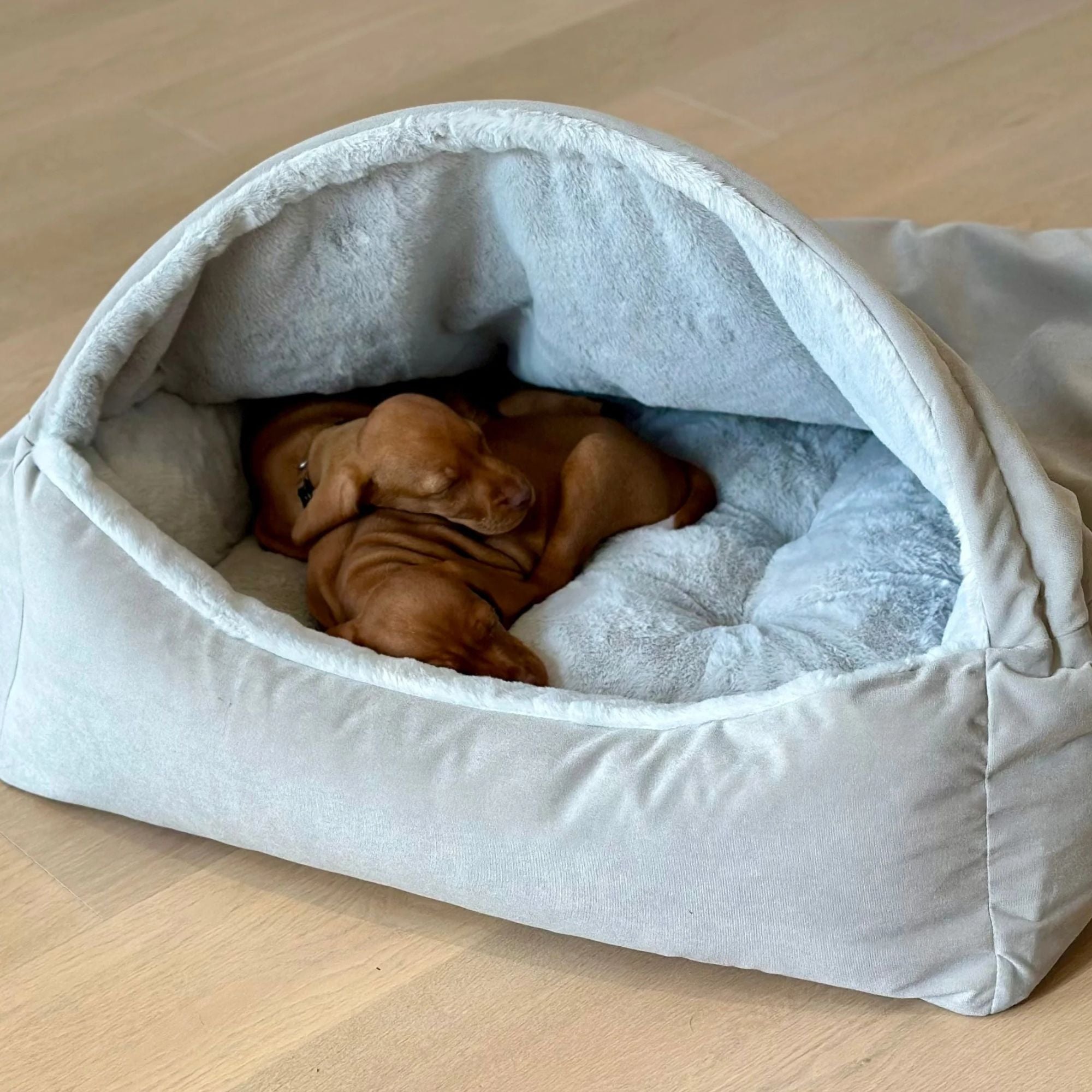 Bowsers Canopy Dog Bed