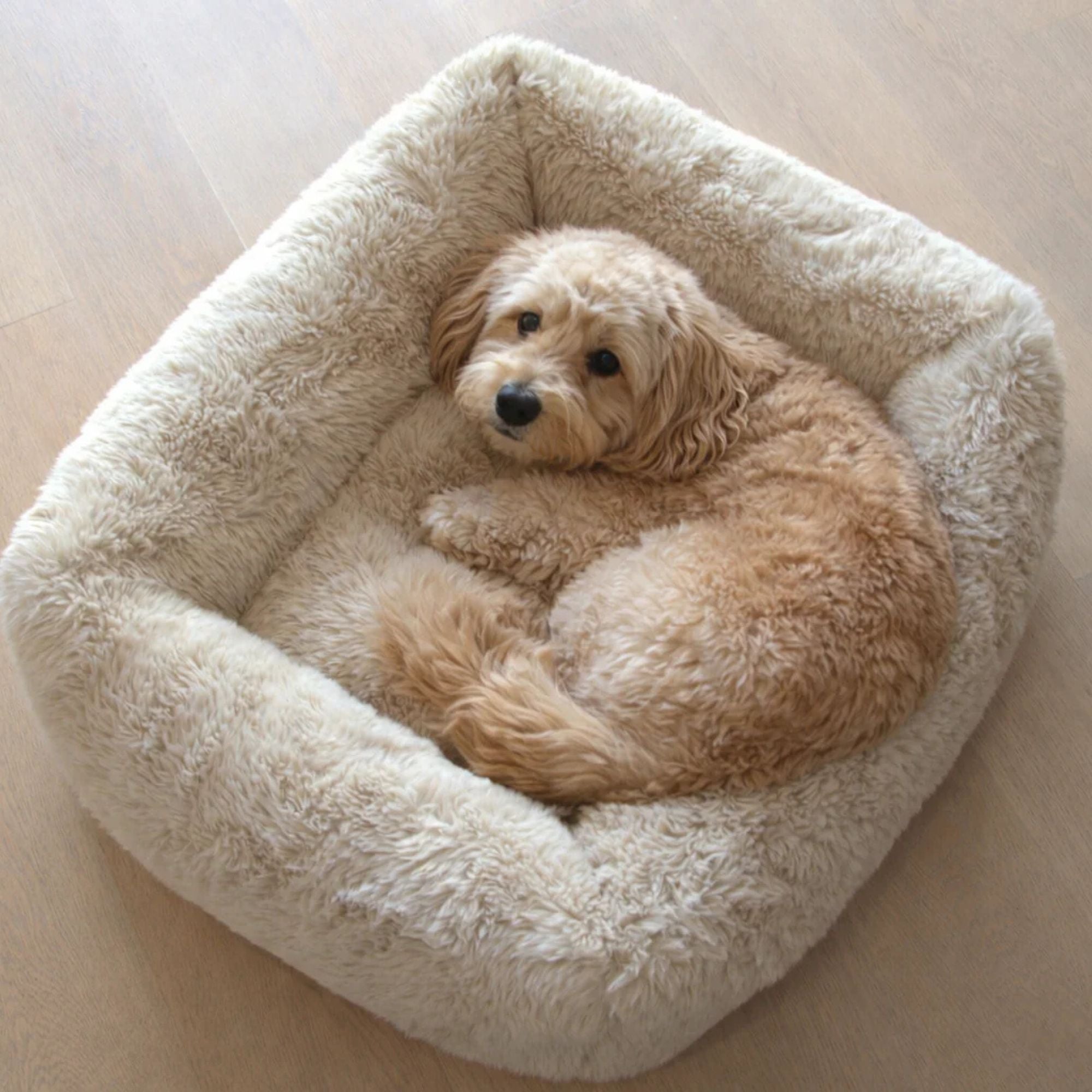 Bowsers Franklin Dog Bed