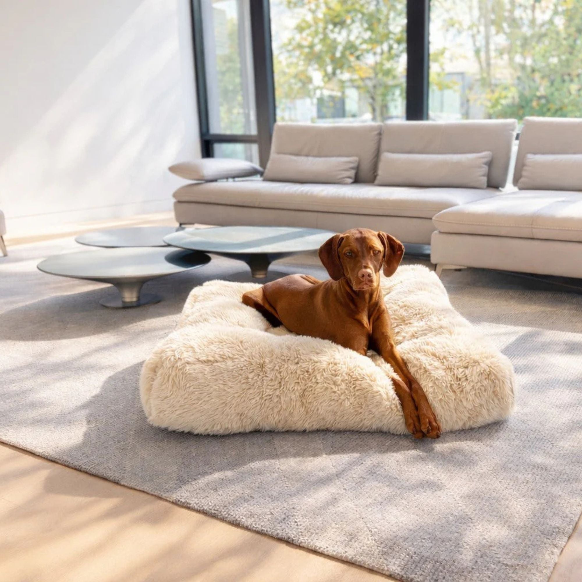 Bowsers Piazza Dog Bed