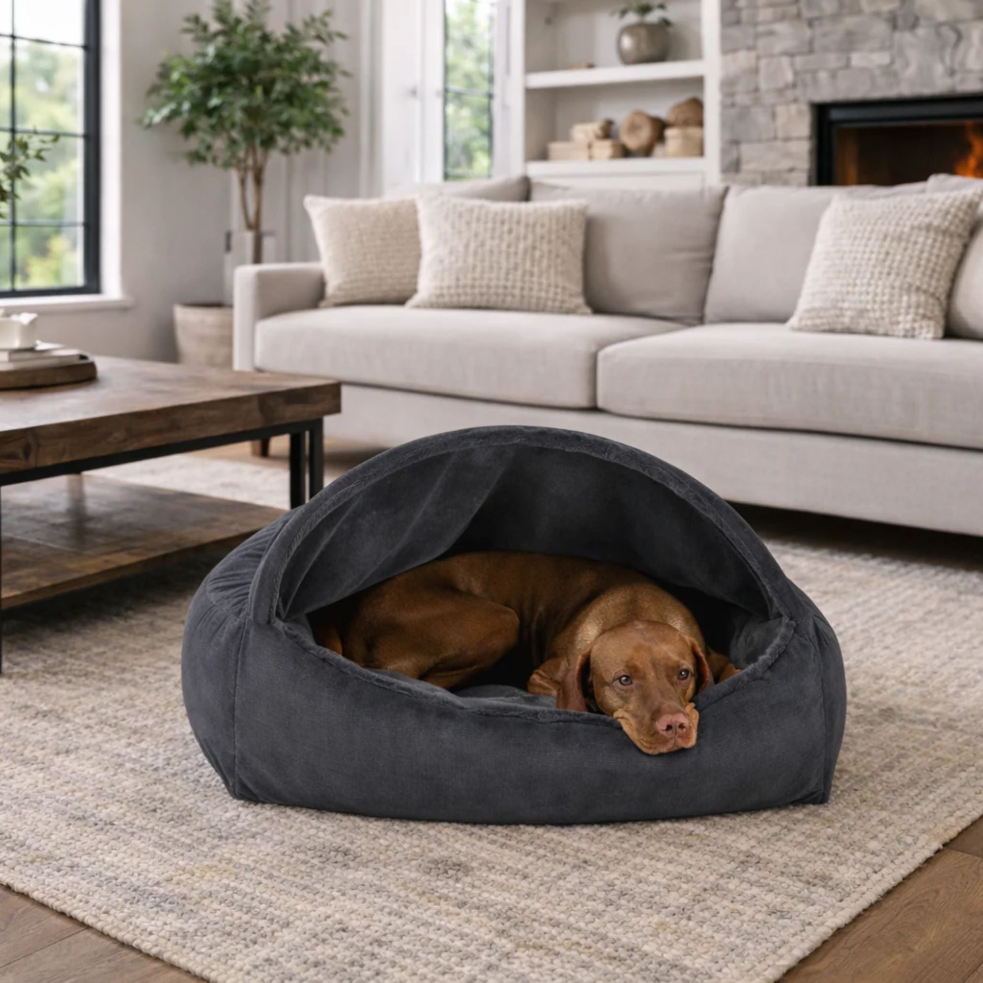Bowsers Canopy Dog Bed