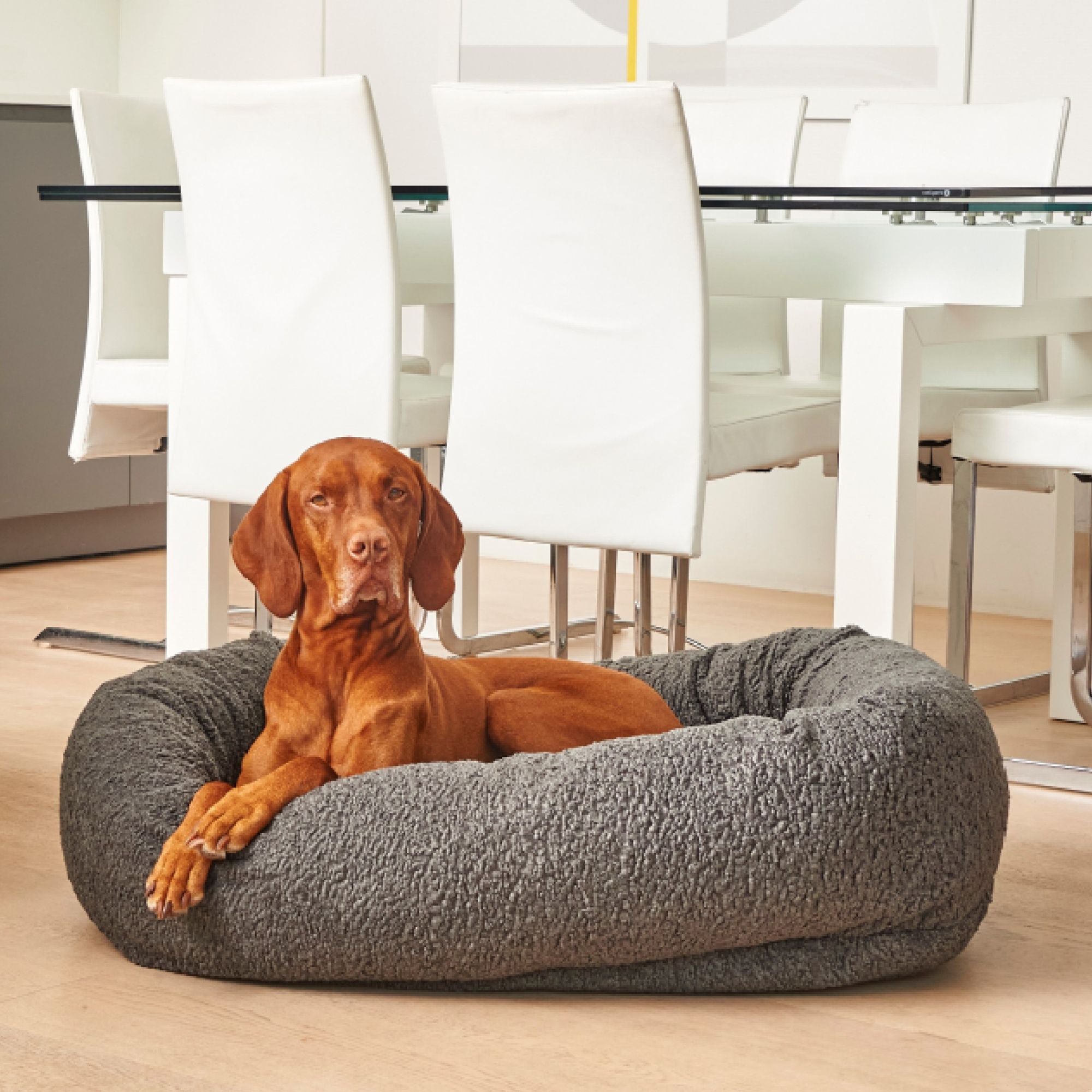 Bowsers Donut Dog Bed - Soft Textures