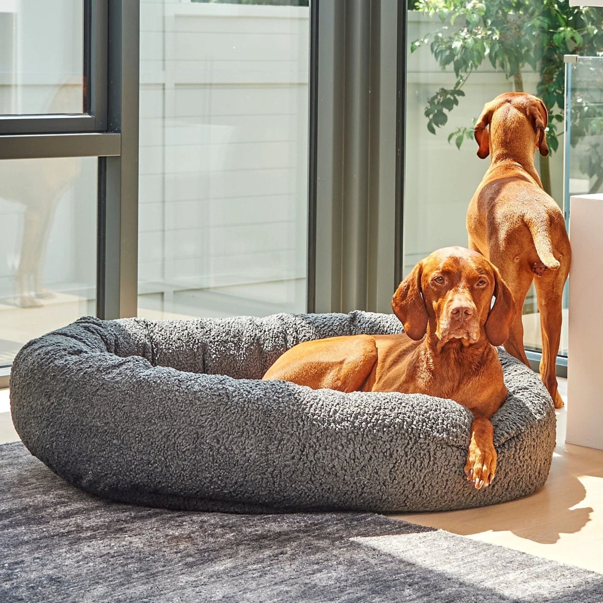 Bowsers Donut Dog Bed - Soft Textures