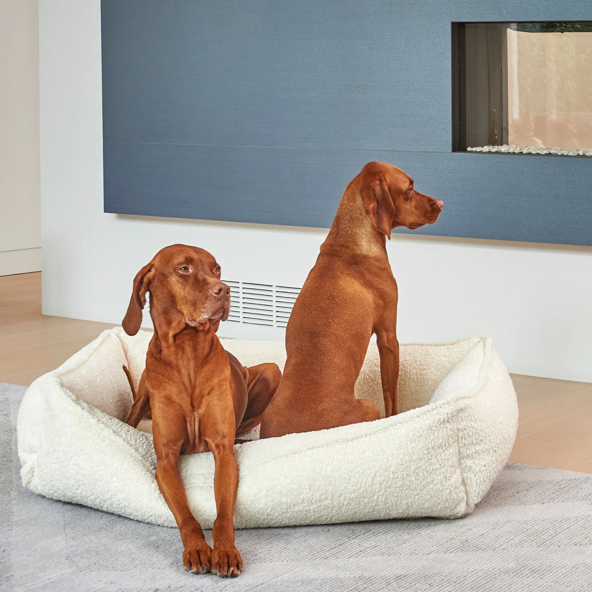 Bowsers Urban Lounger Dog Bed