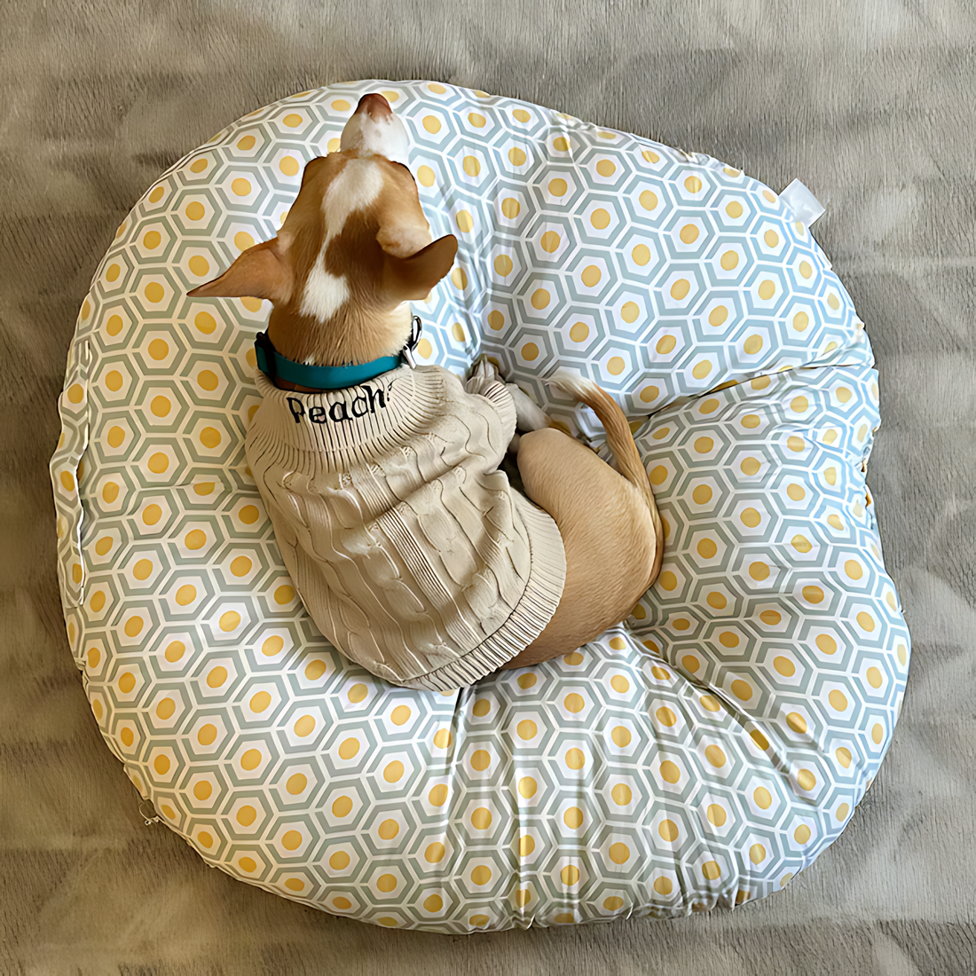 godoggiestyle