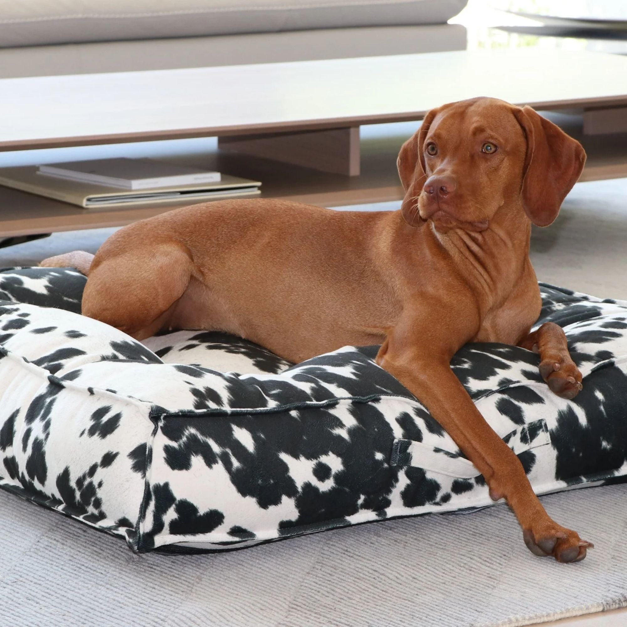 Bowsers Piazza Dog Bed