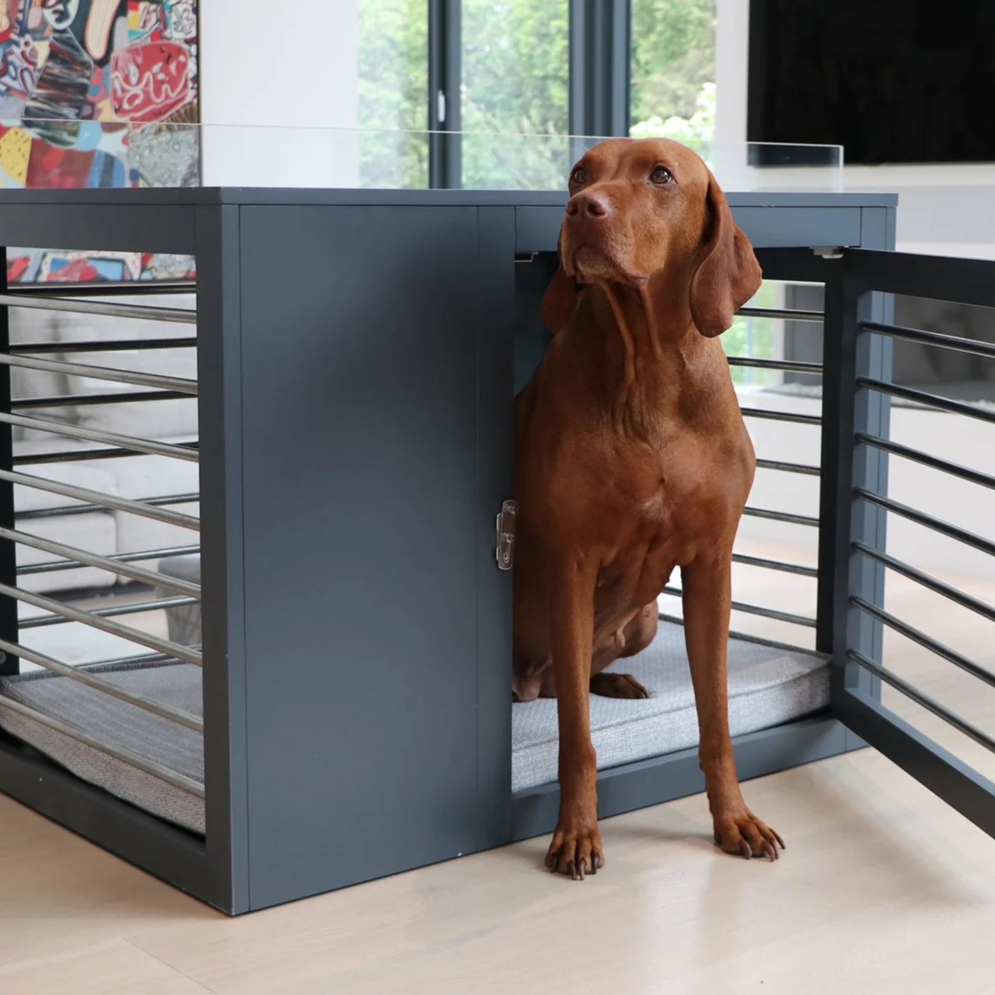 Moderno Dog Crate by Bowsers Pet Products