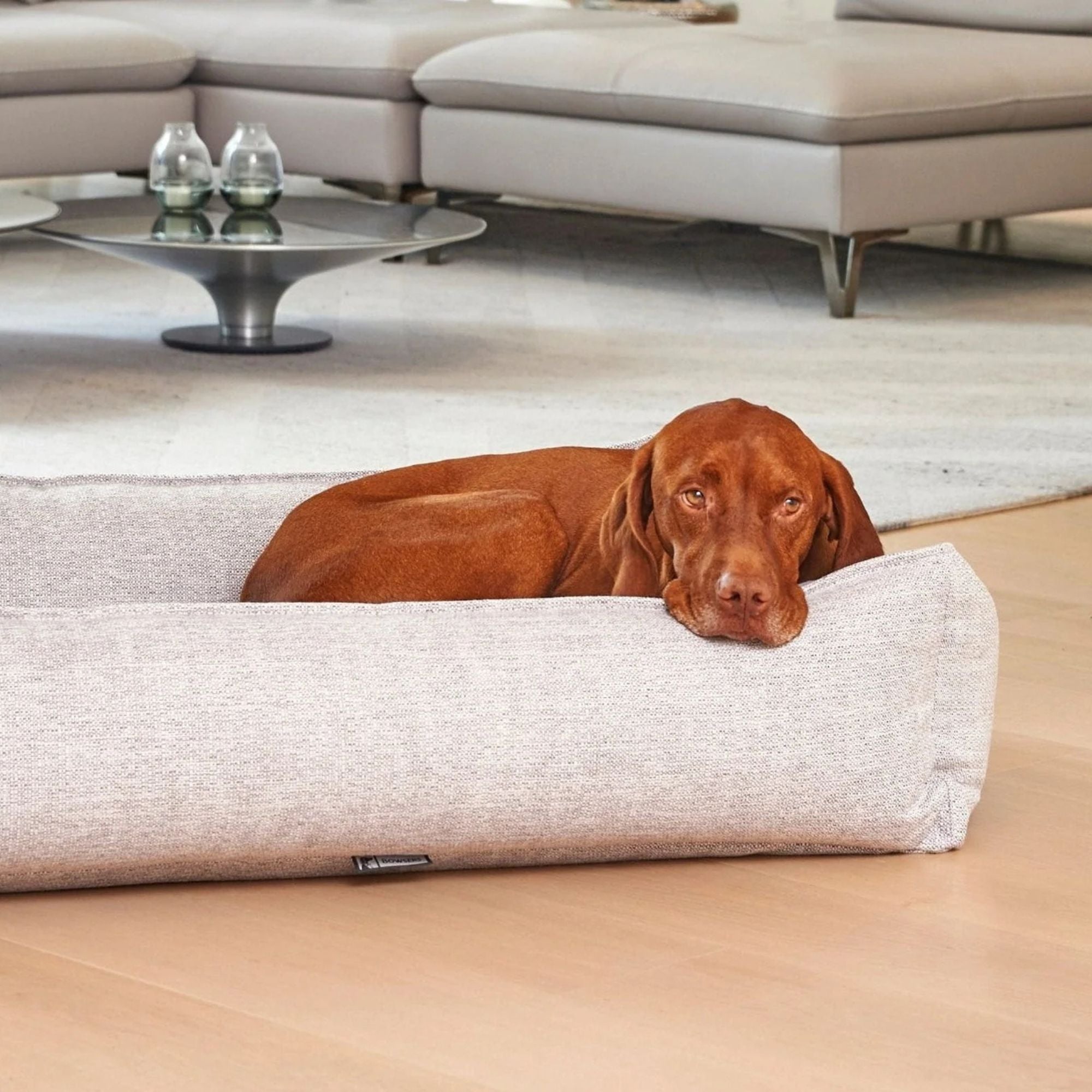 Bowsers Urban Lounger Dog Bed