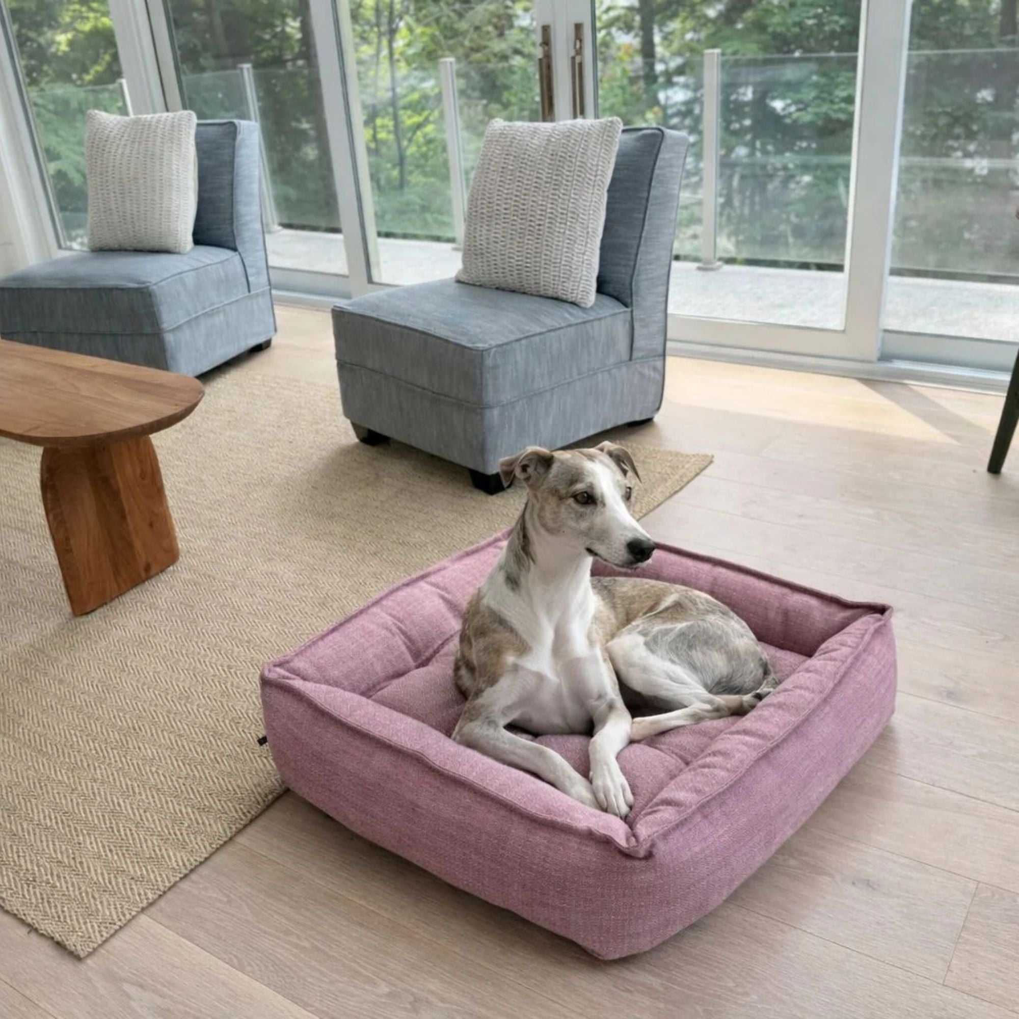 Bowsers Sterling Lounge Dog Bed