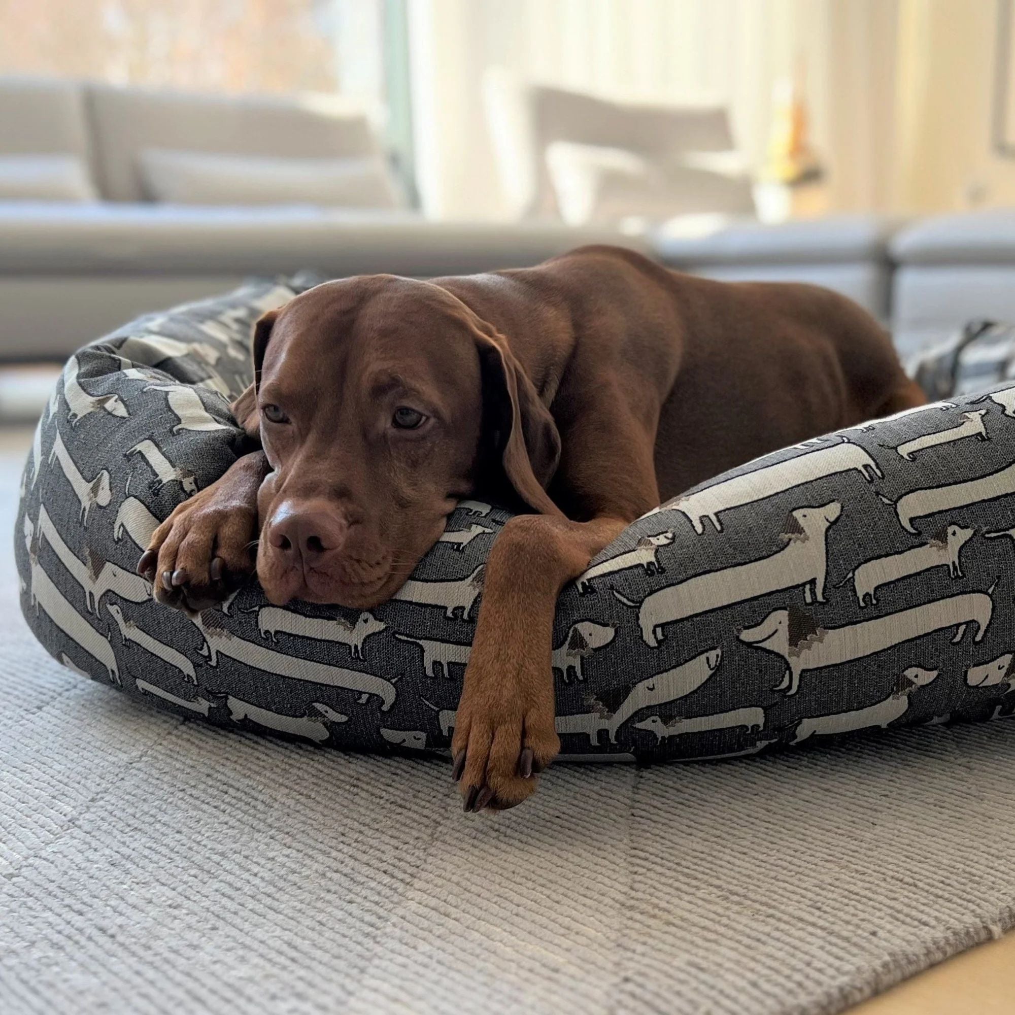 Bowsers Donut Dog Bed - Designer Prints