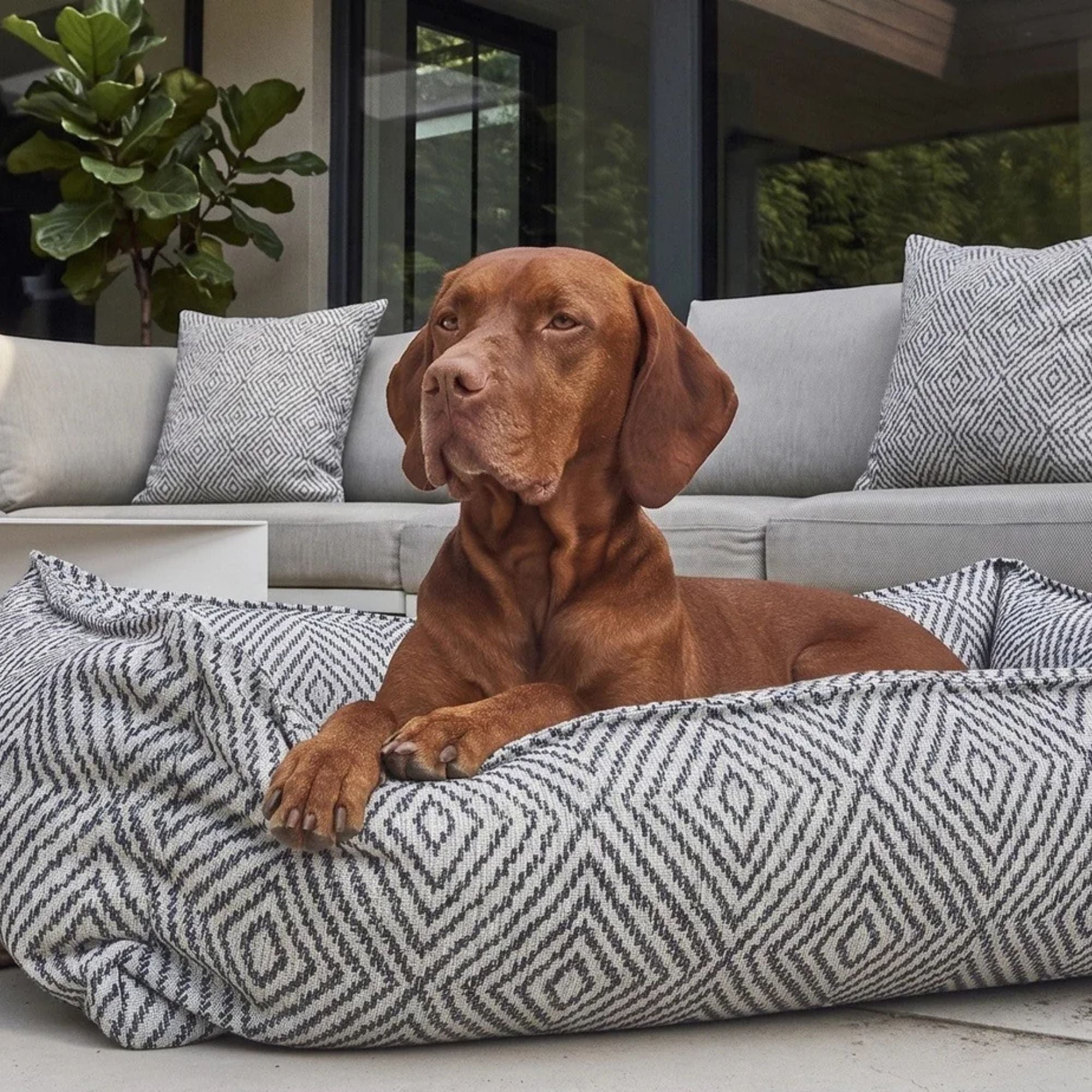 Bowsers Urban Lounger Dog Bed
