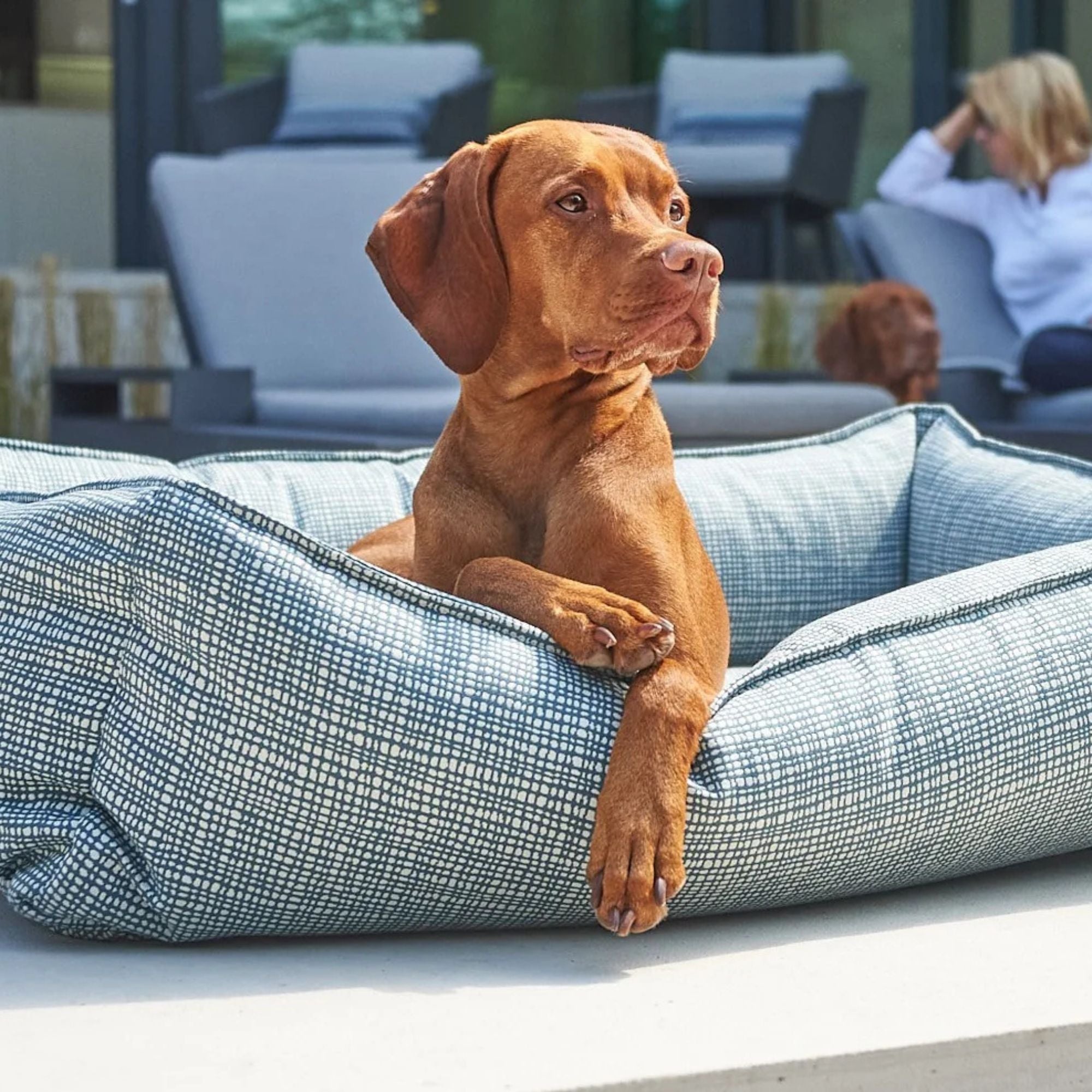 Bowsers Urban Lounger Dog Bed