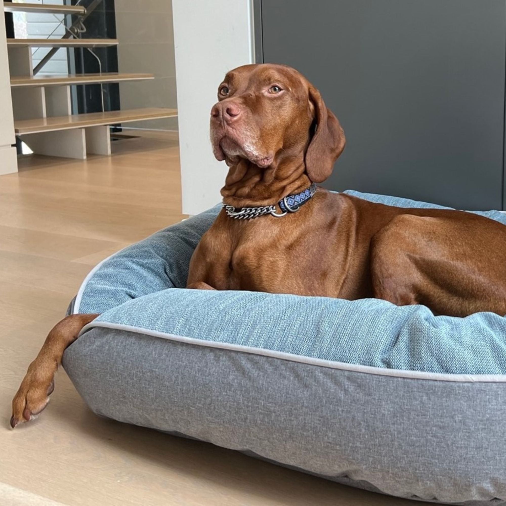 Bowsers Ovie Dog Bed