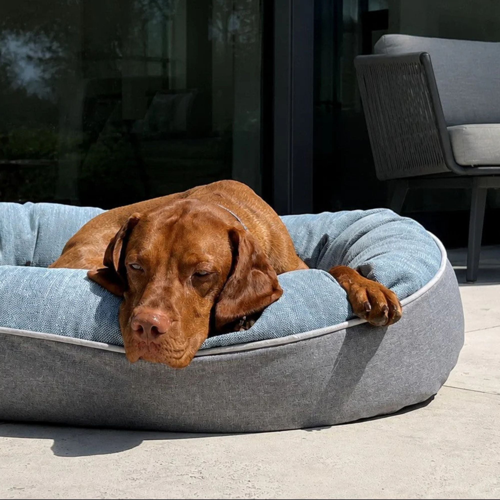 Bowsers Ovie Dog Bed
