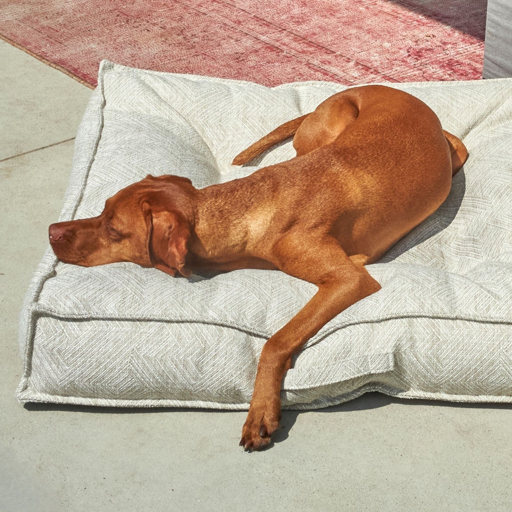 Bowsers Piazza Dog Bed
