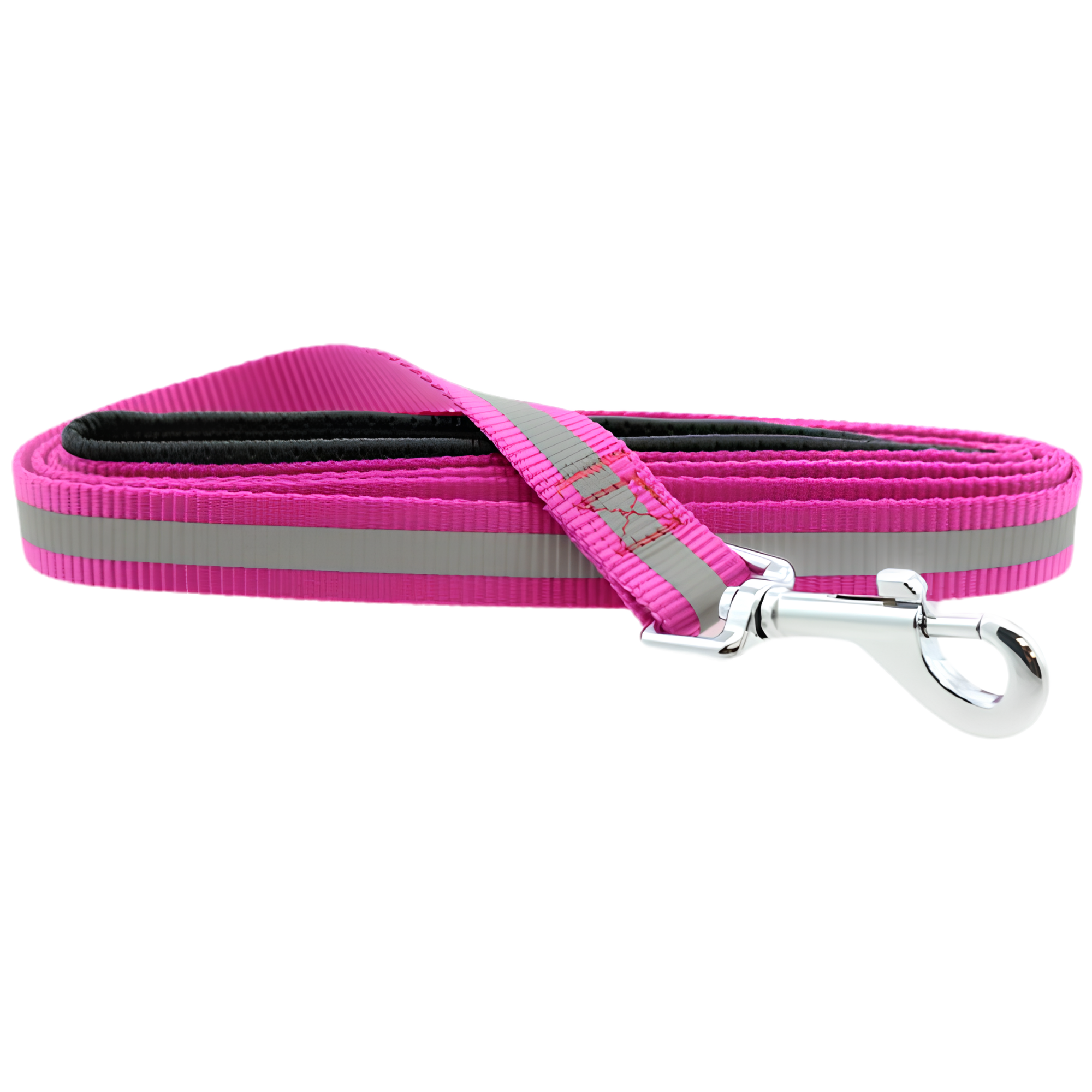 Reflective Nylon Dog Leash with Soft-Grip Handle