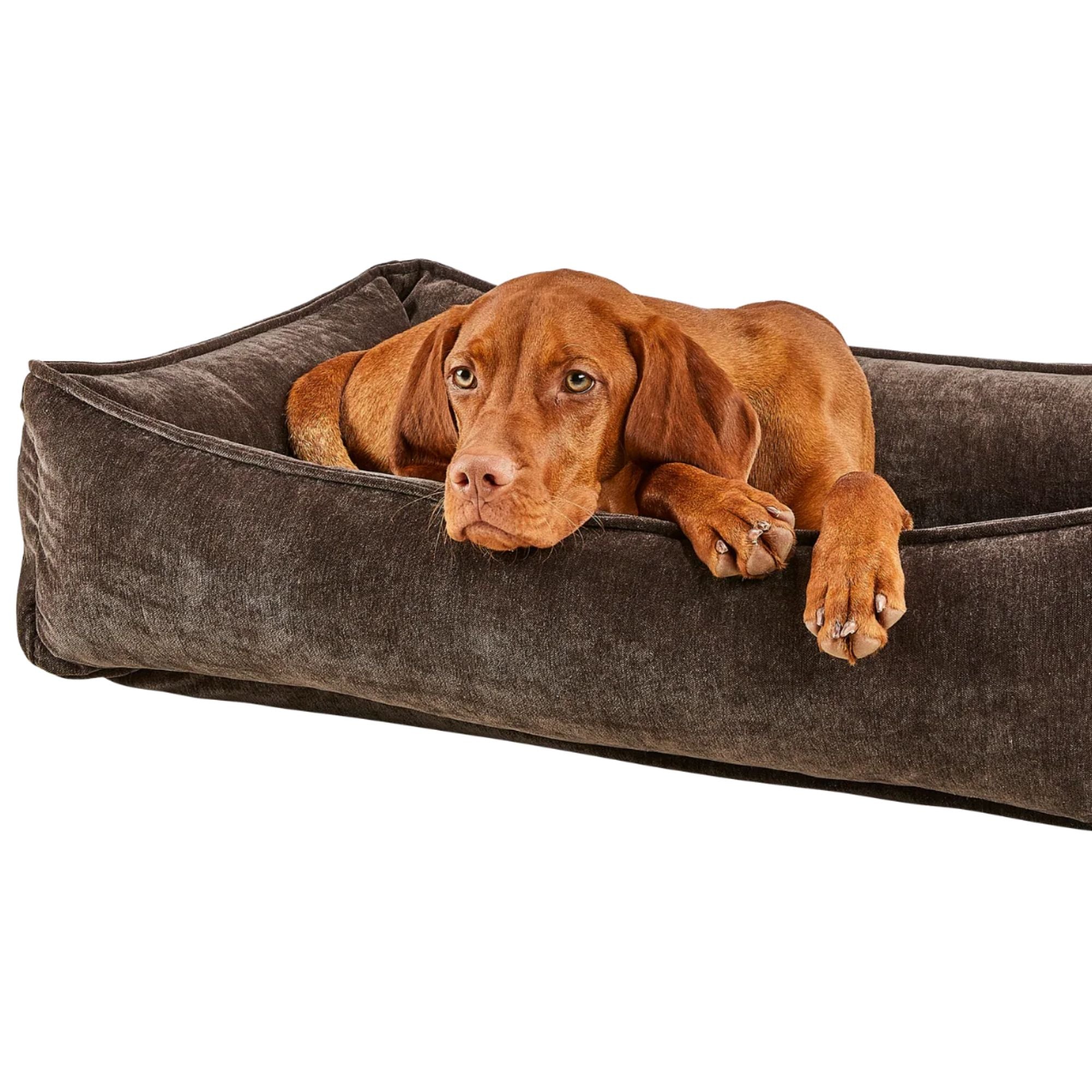Bowsers Urban Lounger Dog Bed