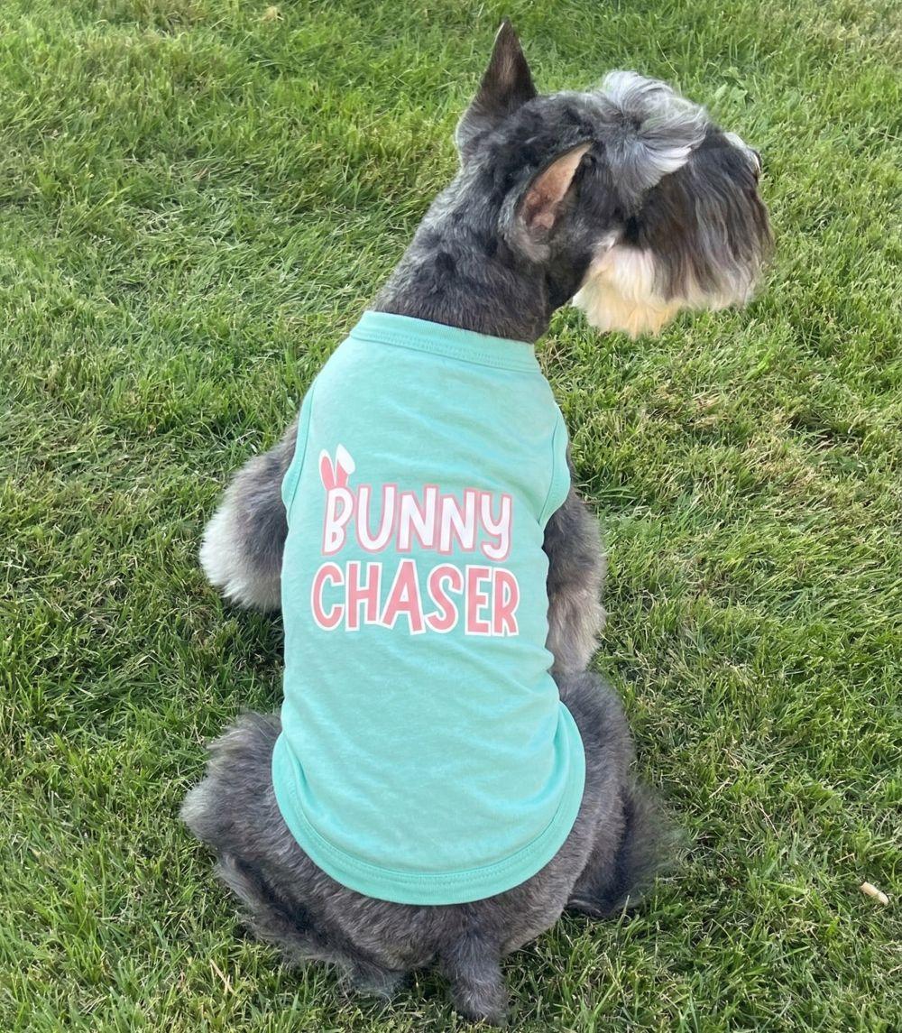 Bunny Chaser Dog Shirt - Teal - godoggiestyle