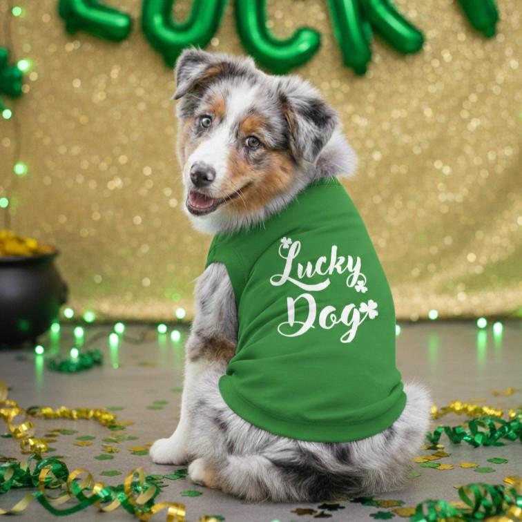 Lucky Dog Dog Shirt - Emerald Green - godoggiestyle