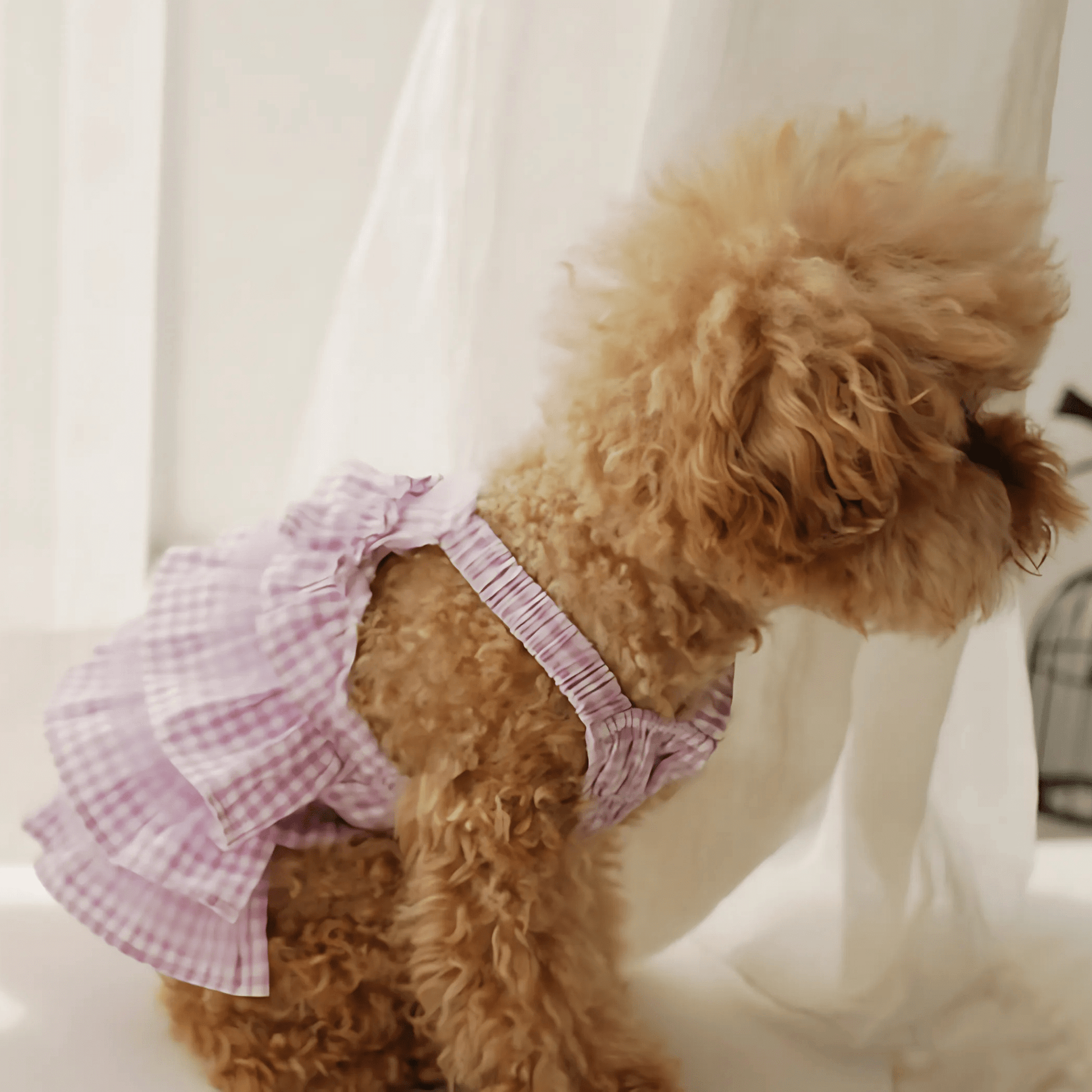 Puppy Angel® Check Linen Cancan Dog Dress – 3 Designer Colors - godoggiestyle