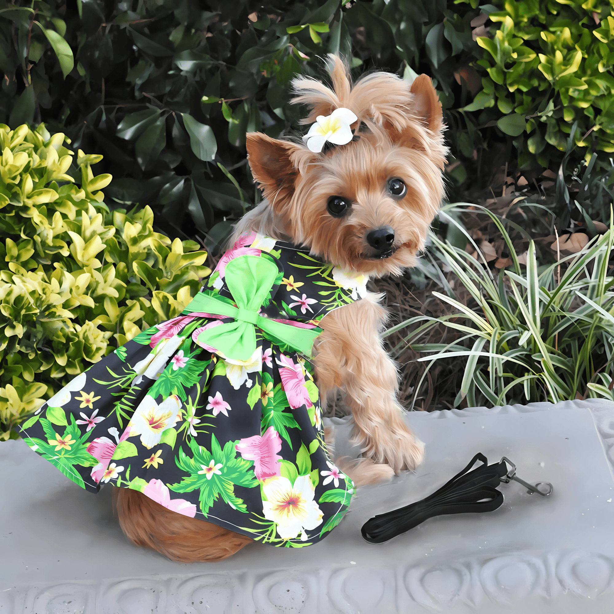 Twilight Black Hawaiian Hibiscus Dog Dress with Leash - godoggiestyle