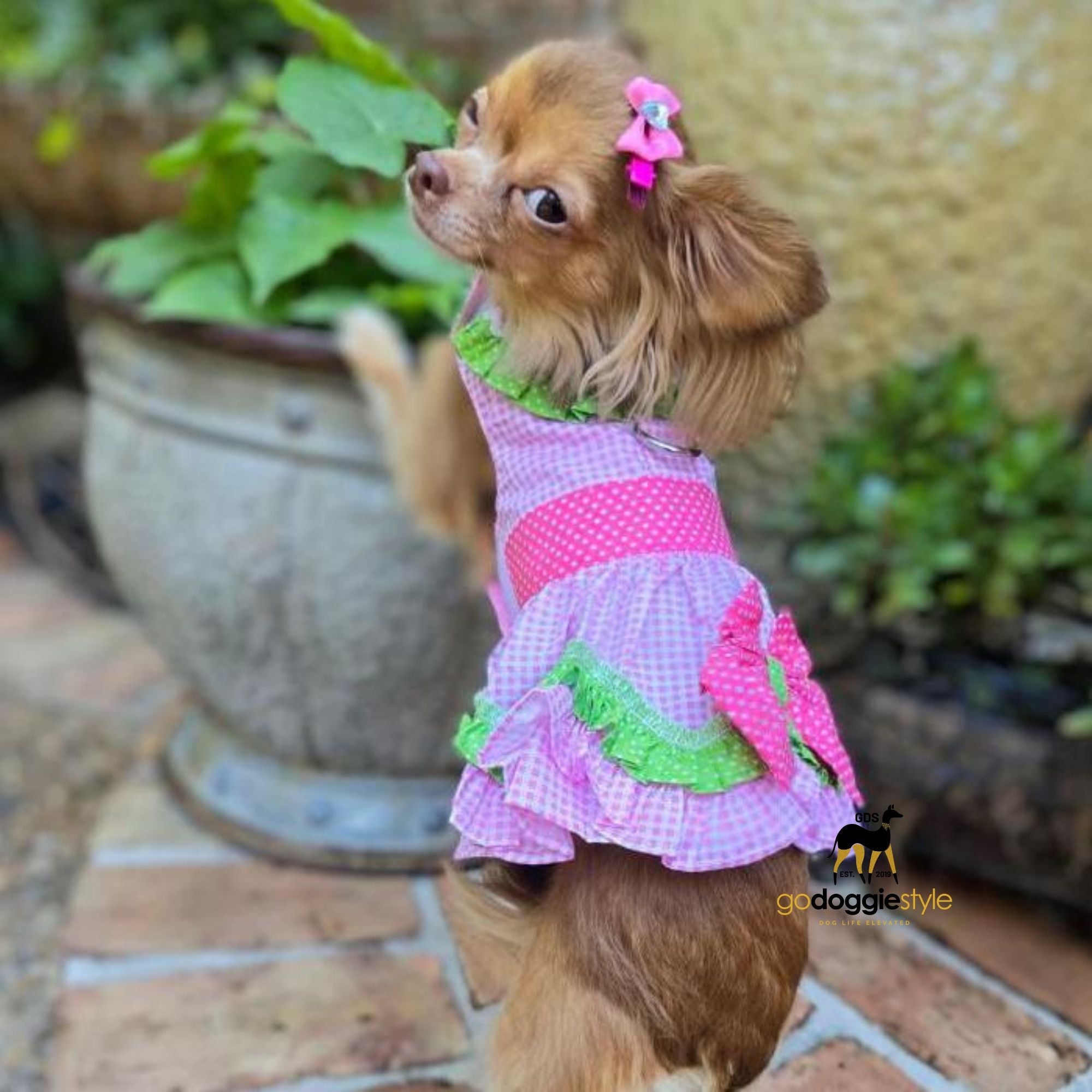 Watermelon Dog Dress with Matching Leash - Spring Summer Dog Dress - Ribbon Trim With Bow - XS to XL - 3 to 30 lbs - godoggiestyle