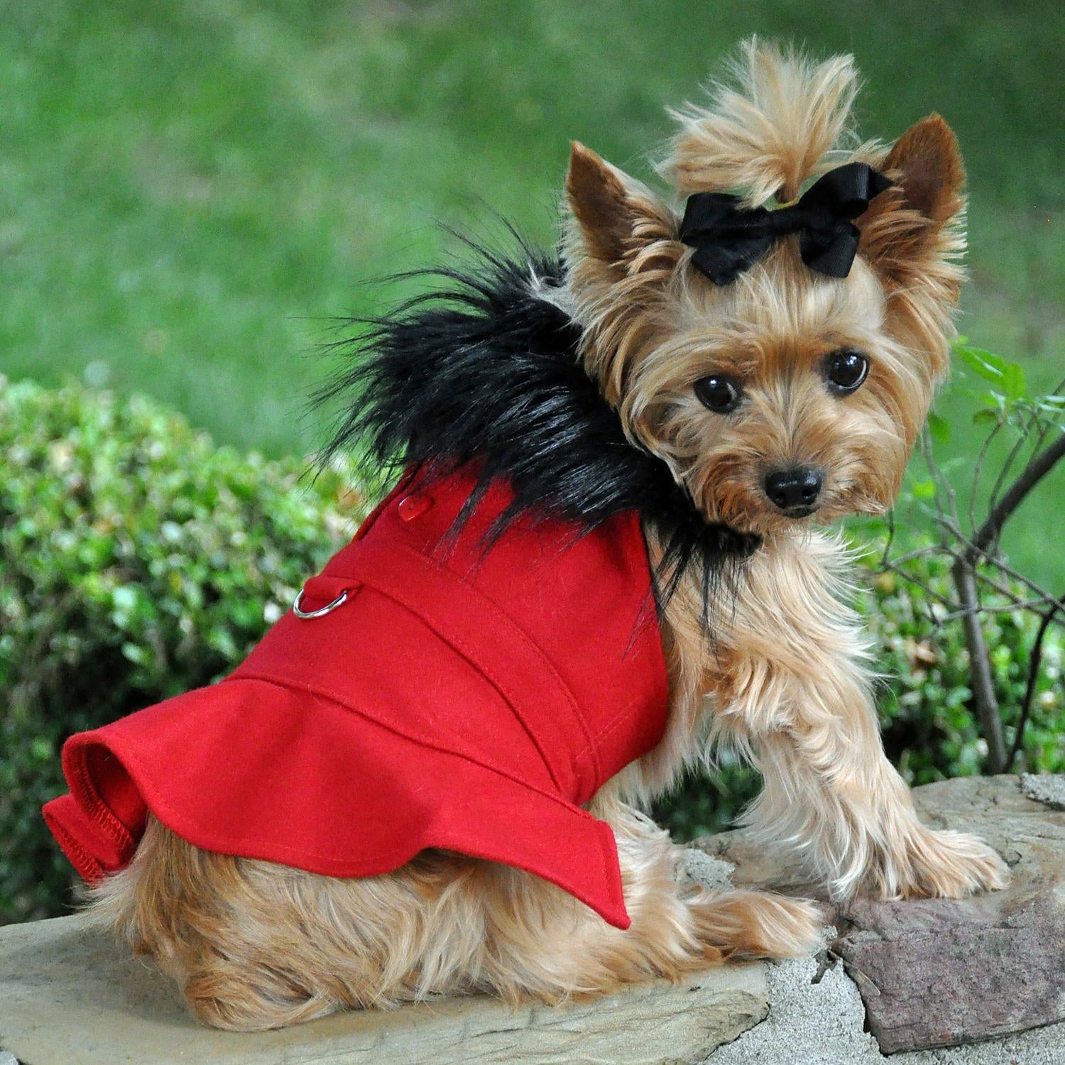 Red Fur-Trimmed Dog Harness Coat