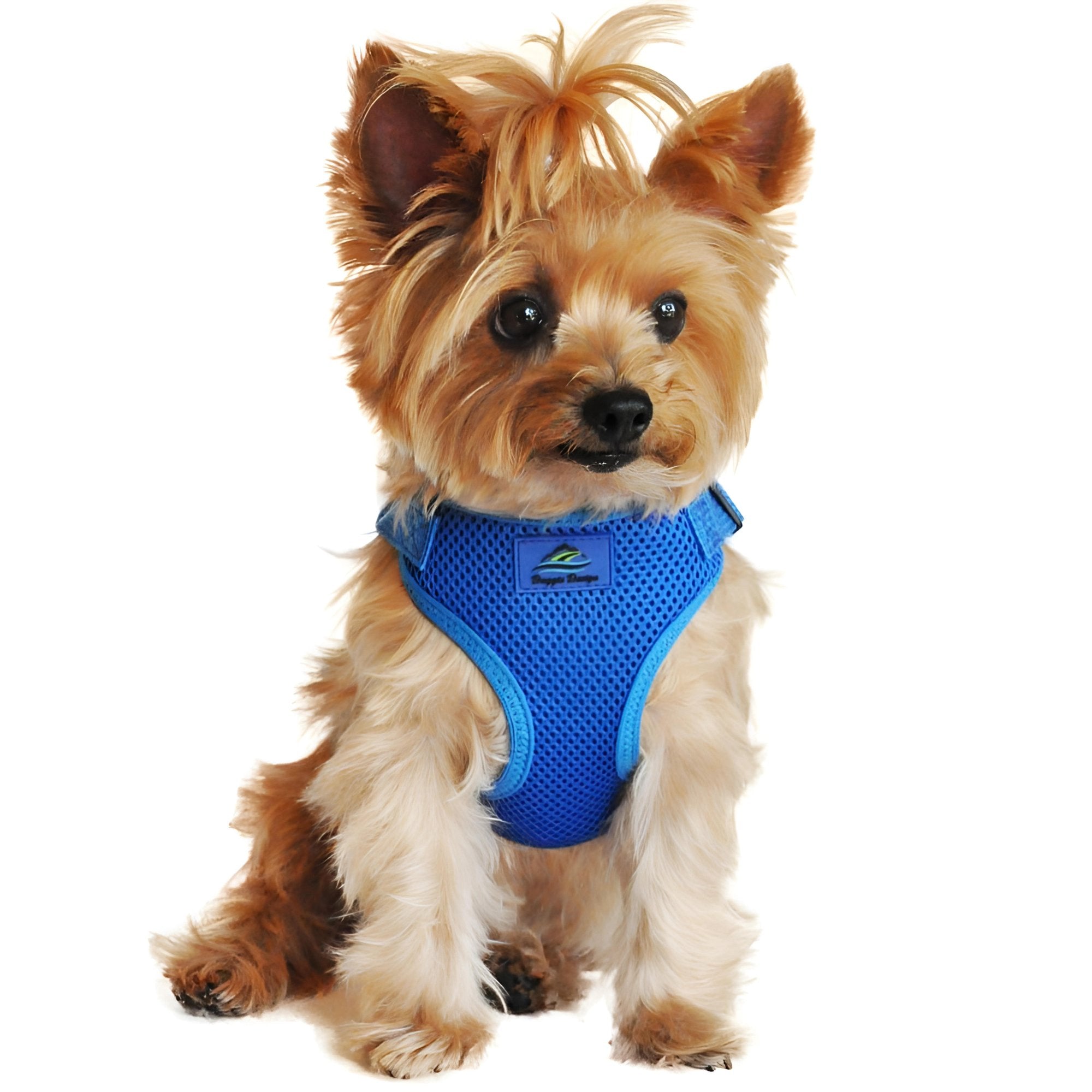 Wrap and Snap Choke Free Dog Harness - Cobalt Blue - godoggiestyle