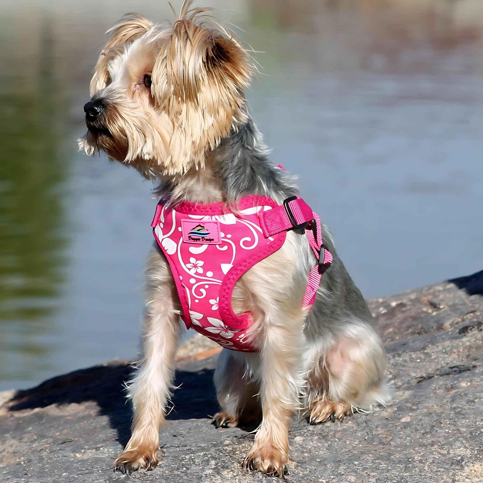 Wrap and Snap Choke Free Dog Harness-Pink Hibiscus-godoggiestyle