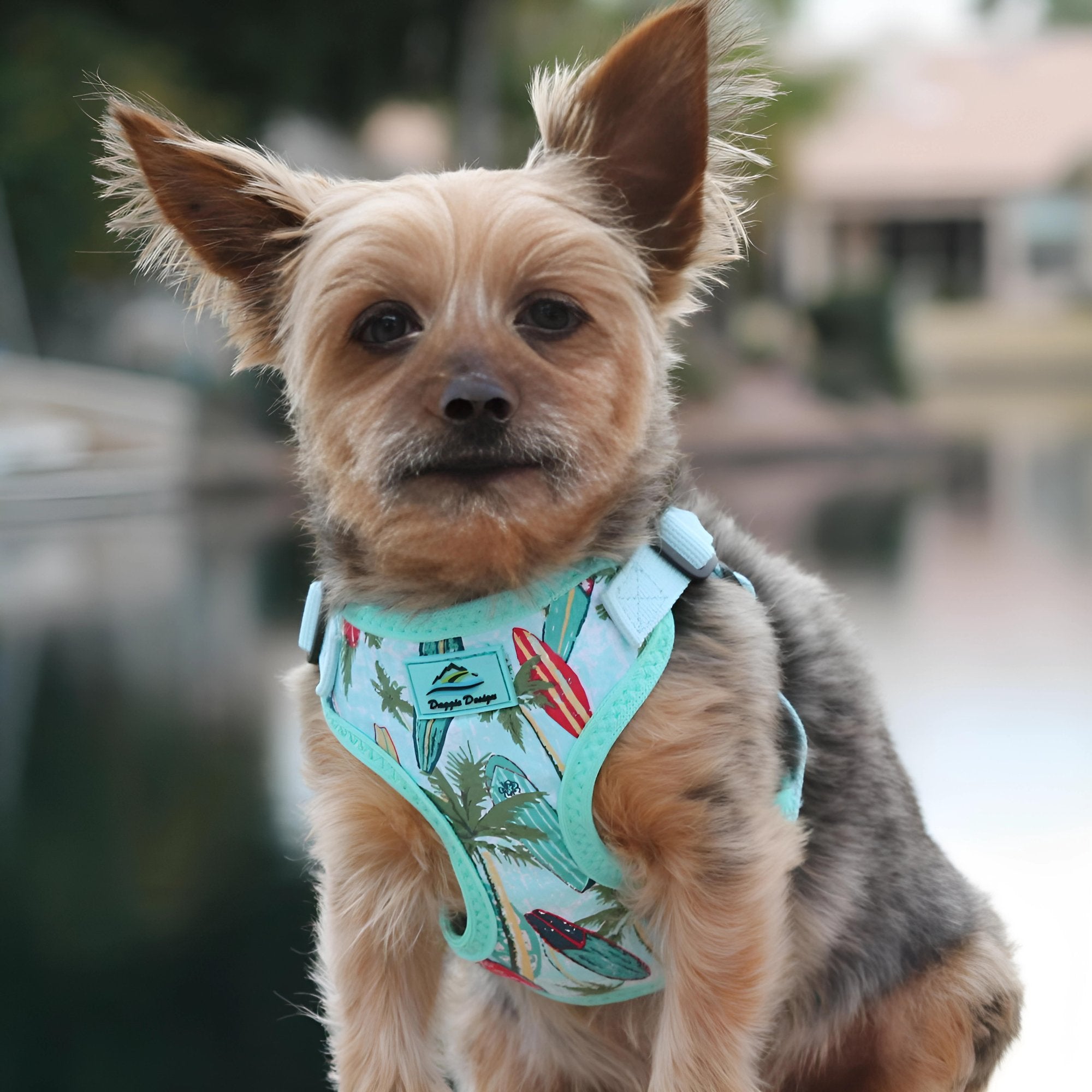 Wrap and Snap Choke Free Dog Harness - Surfboards and Palms - godoggiestyle