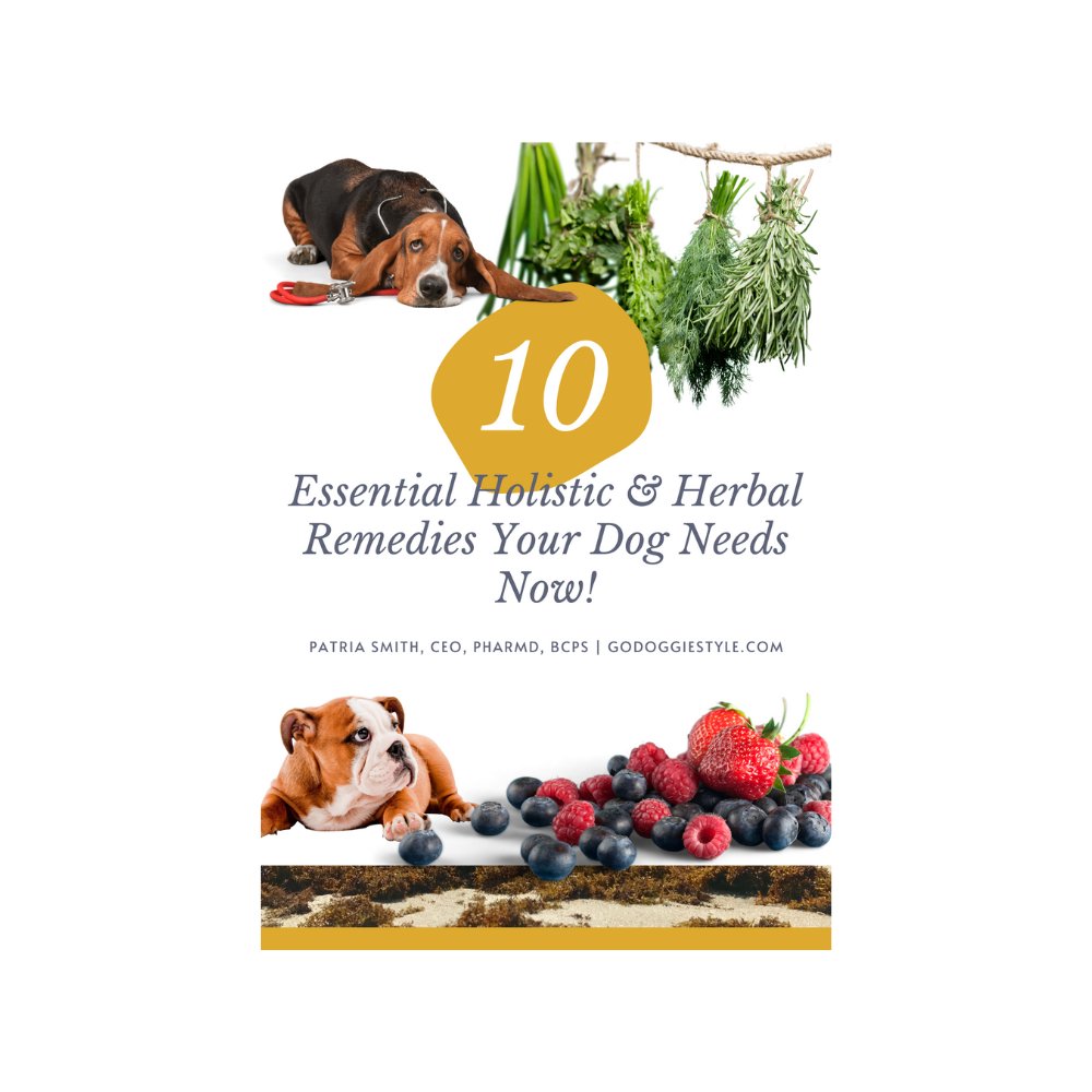 10 Essential Vitamins & Herbal Remedies Your Dog Needs Now by Dr. Patria Smith - godoggiestyle