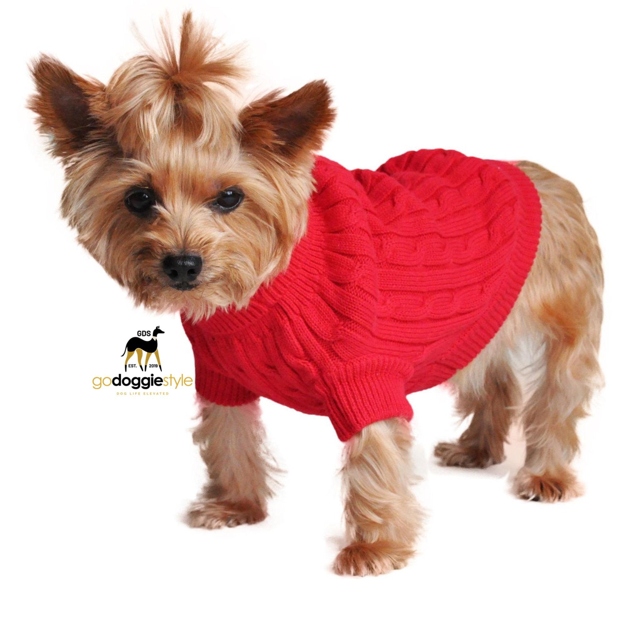 100% Combed Cotton Cable Knit Dog Sweater | Fiery Red | Standing dog wearing red sweater | Size XXS to 3 XL | godoggiestyle