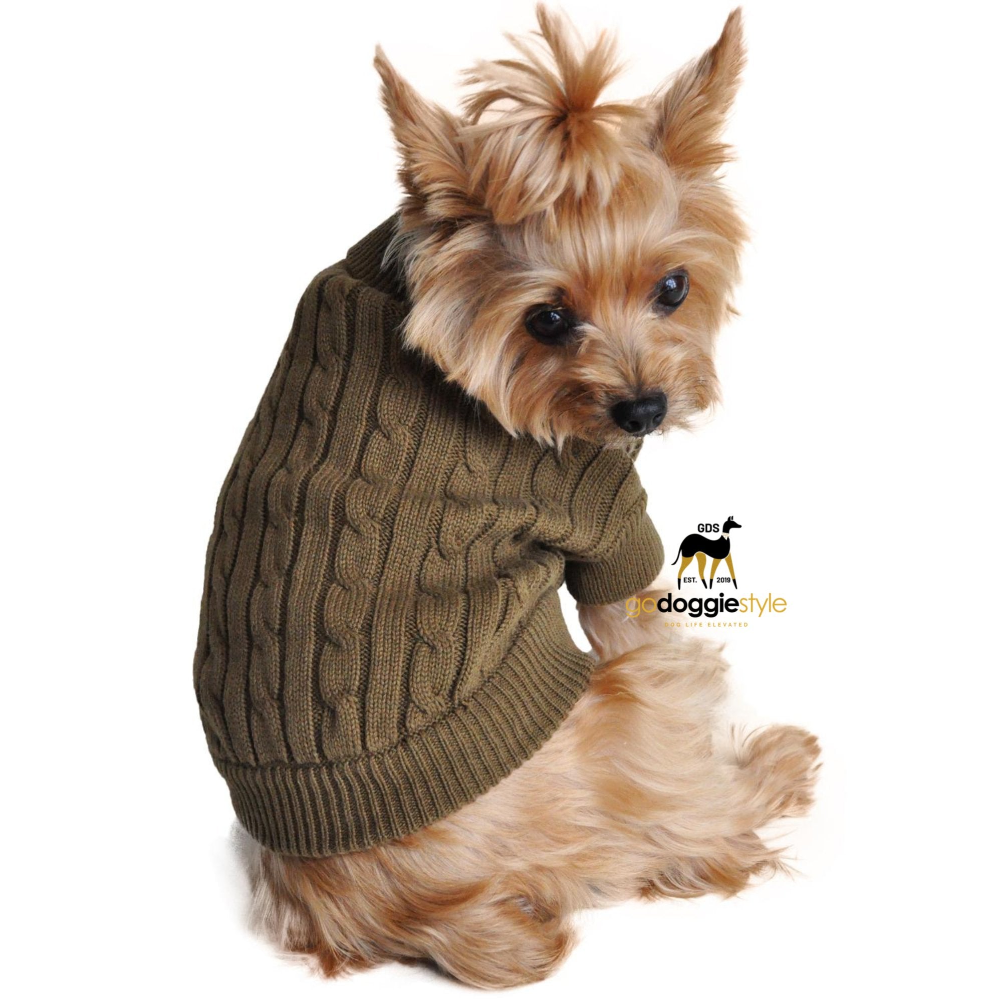 100% Combed Cotton Cable Knit Dog Sweater | Herb Green | sitting dog wearing green sweater | Size XXS to 3 XL | godoggiestyle