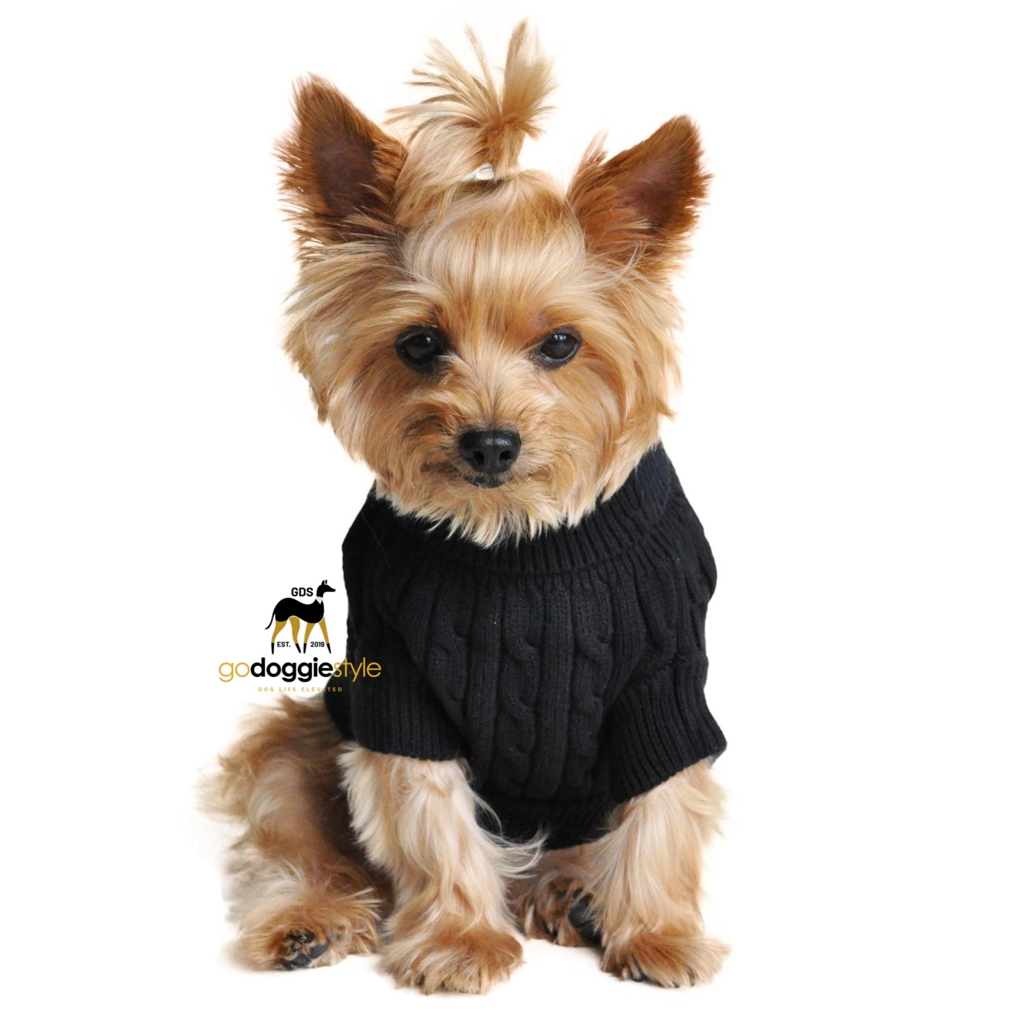 100% Combed Cotton Cable Knit Dog Sweater | Jet Black |Sitting dog in black cotton sweater | Size XXS to 3 XL | godoggiestyle