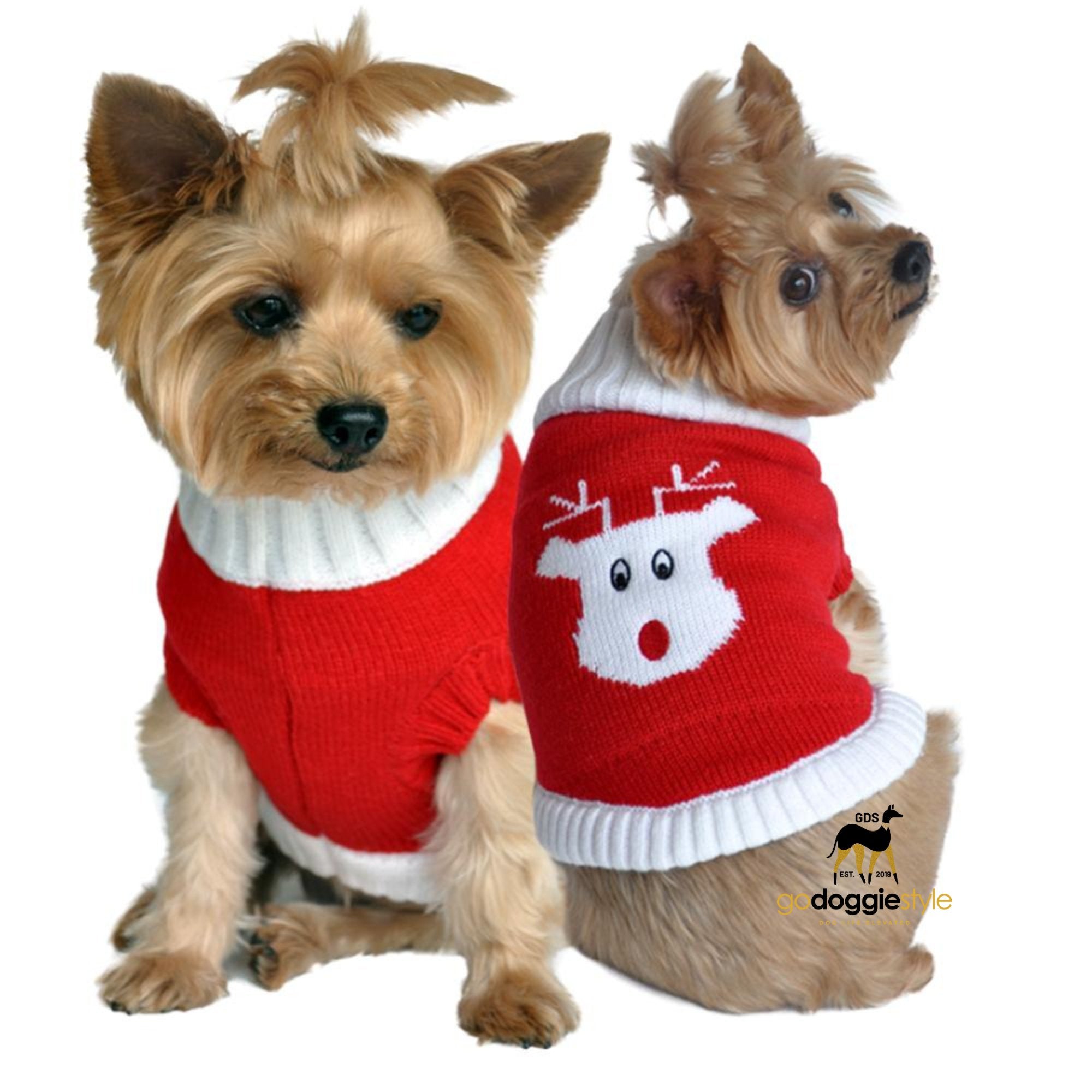 100% Combed Cotton Holiday Dog Sweater| Red Rudolph | Sitting dog in red cotton sweater | Size XXS to 3 XL | godoggiestyle