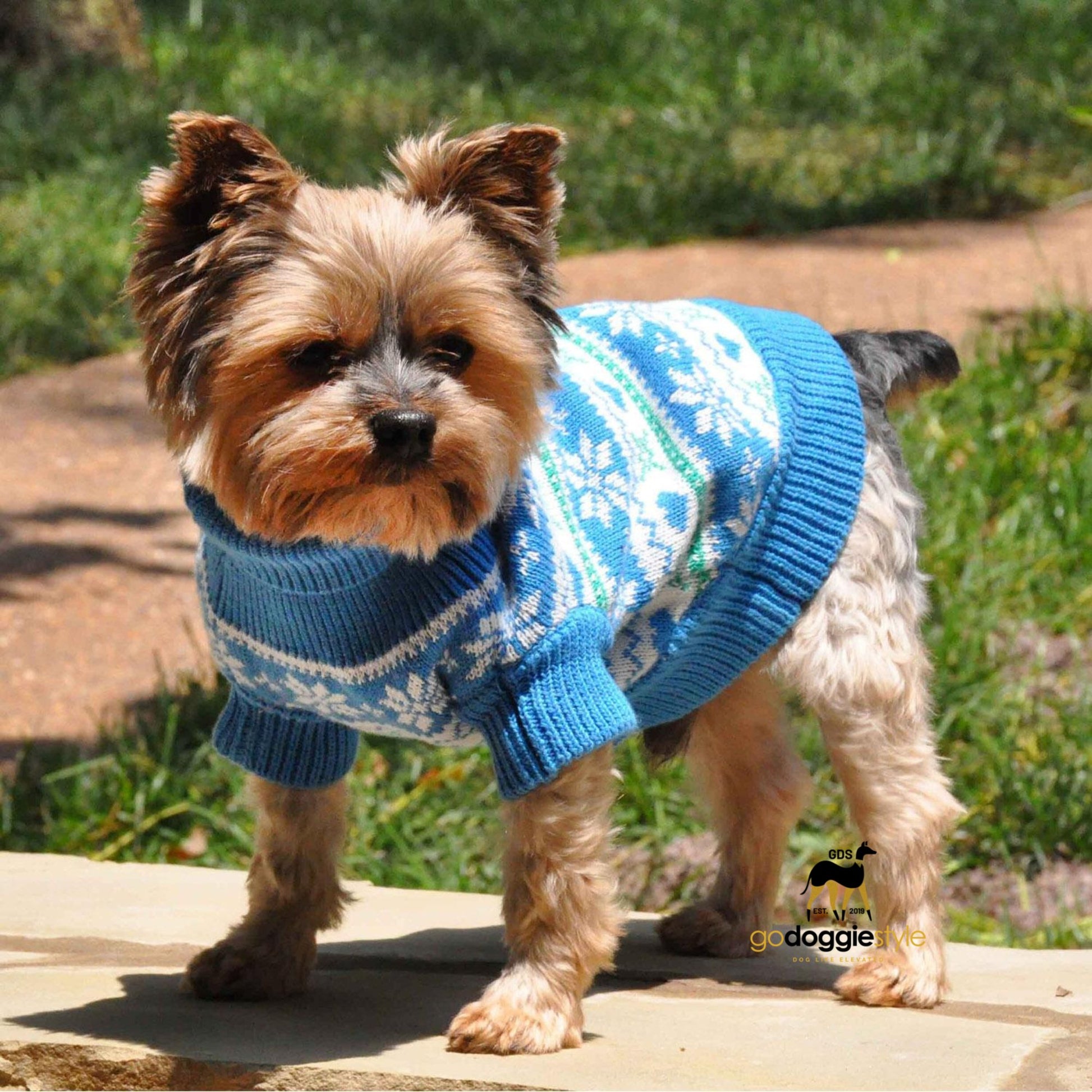 100% Combed Cotton Snowflake and Hearts Dog Sweater |Blue |Standing dog wearing Blue sweater |Size XXS to 3 XL |godoggiestyle