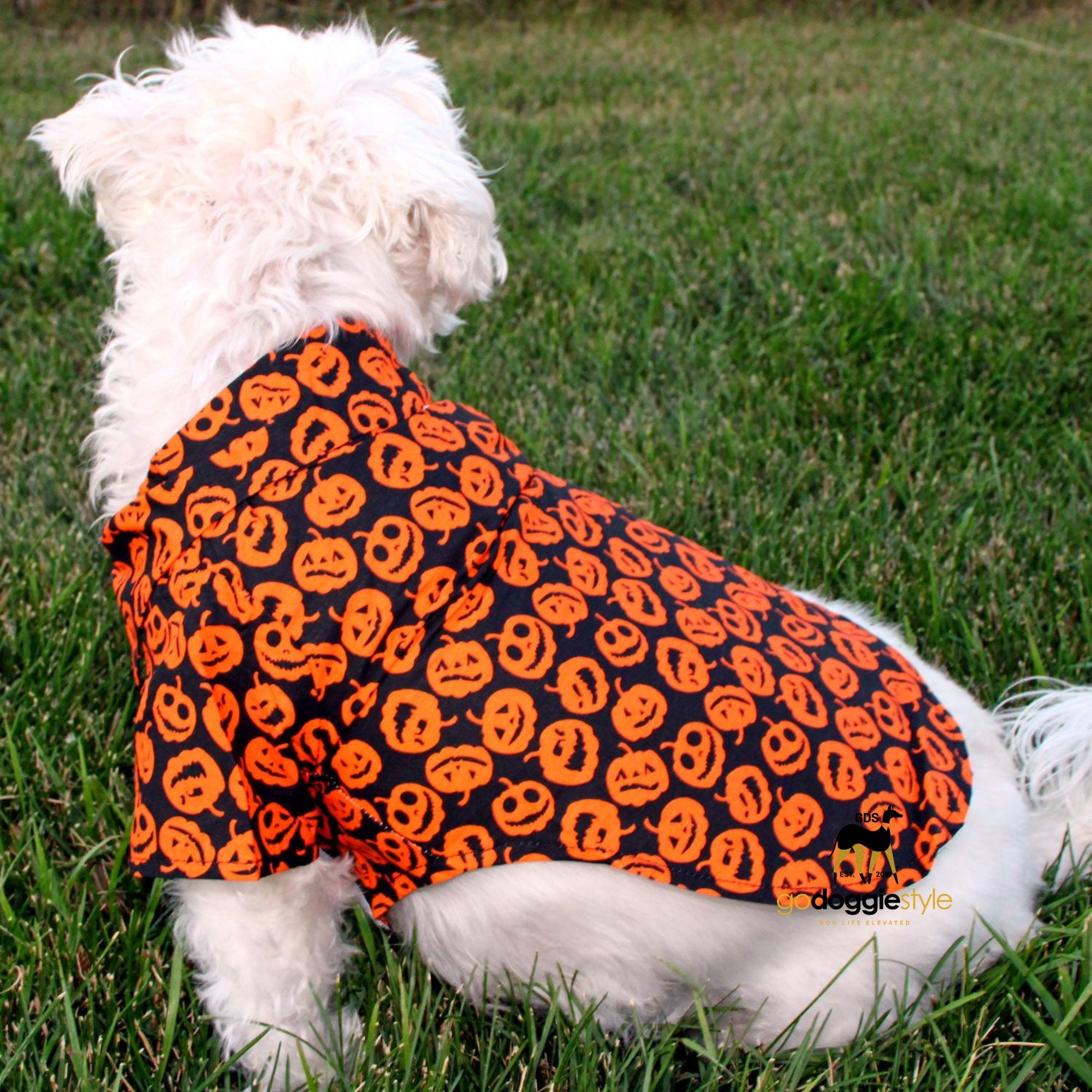 100% Cotton Halloween Jack-O-Lanterns Camp Dog Shirt | Dog Wearing Jack-O-Lantern Dog Costume With Leash Hole | godoggiestyle
