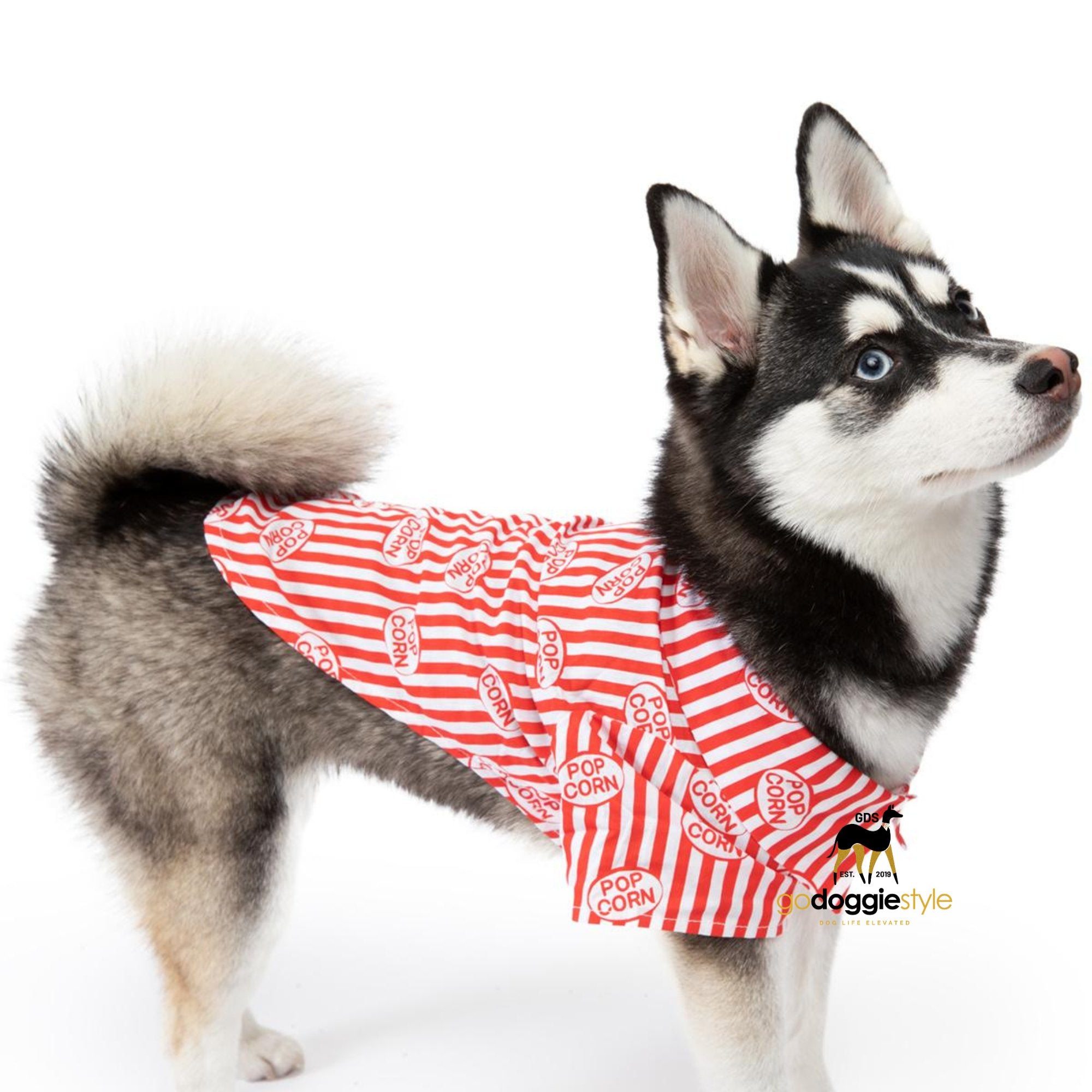100% Cotton Hawaiian Camp Dog Shirt | Movie Theater Popcorn Box | dog wearing costume | Foodie Shirt Costume | godoggiestyle