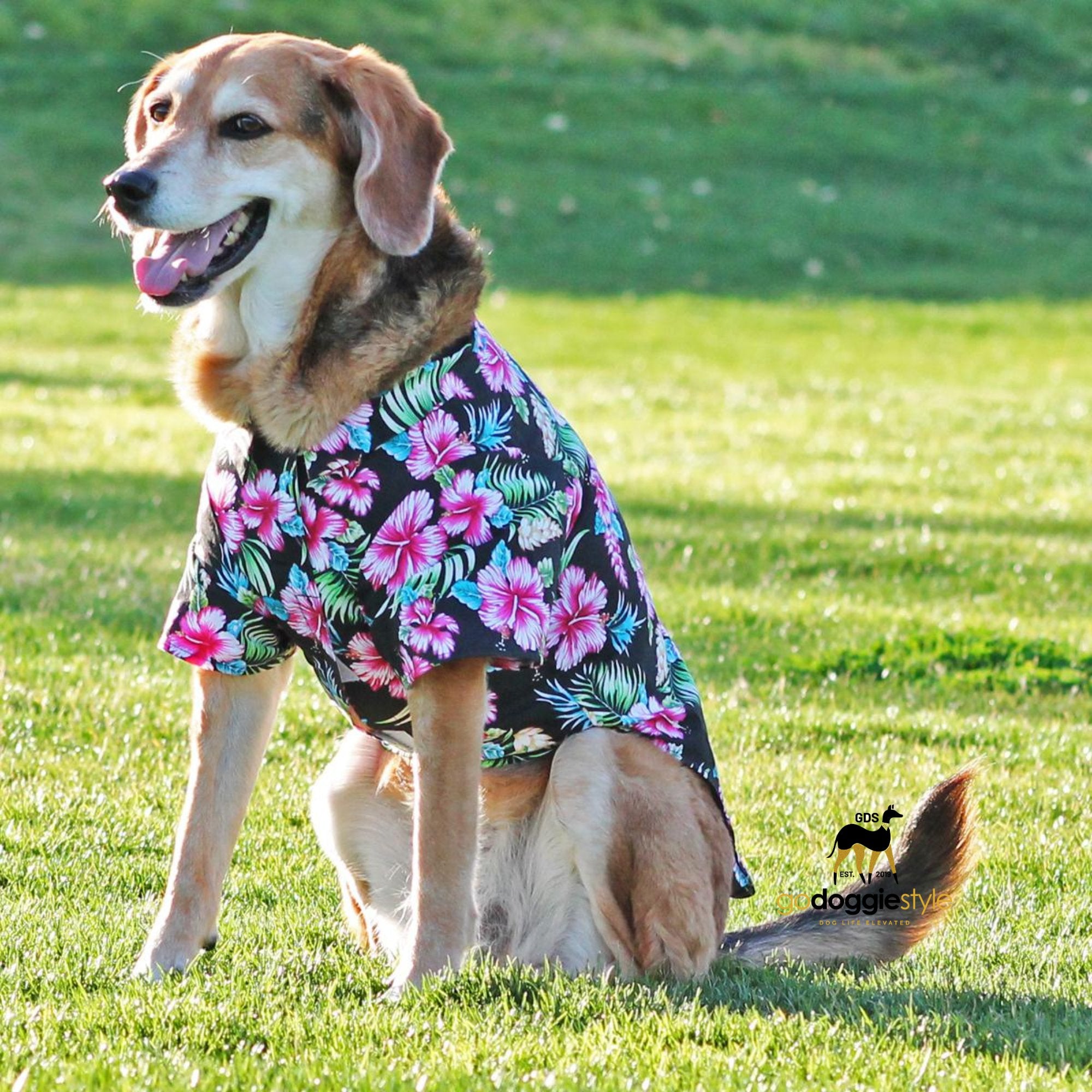 100% Cotton Hawaiian Camp Dog Shirt | Paradise Nights | sitting dog in Spring Summer Shirt | Flower Dog Shirt | godoggiestyle