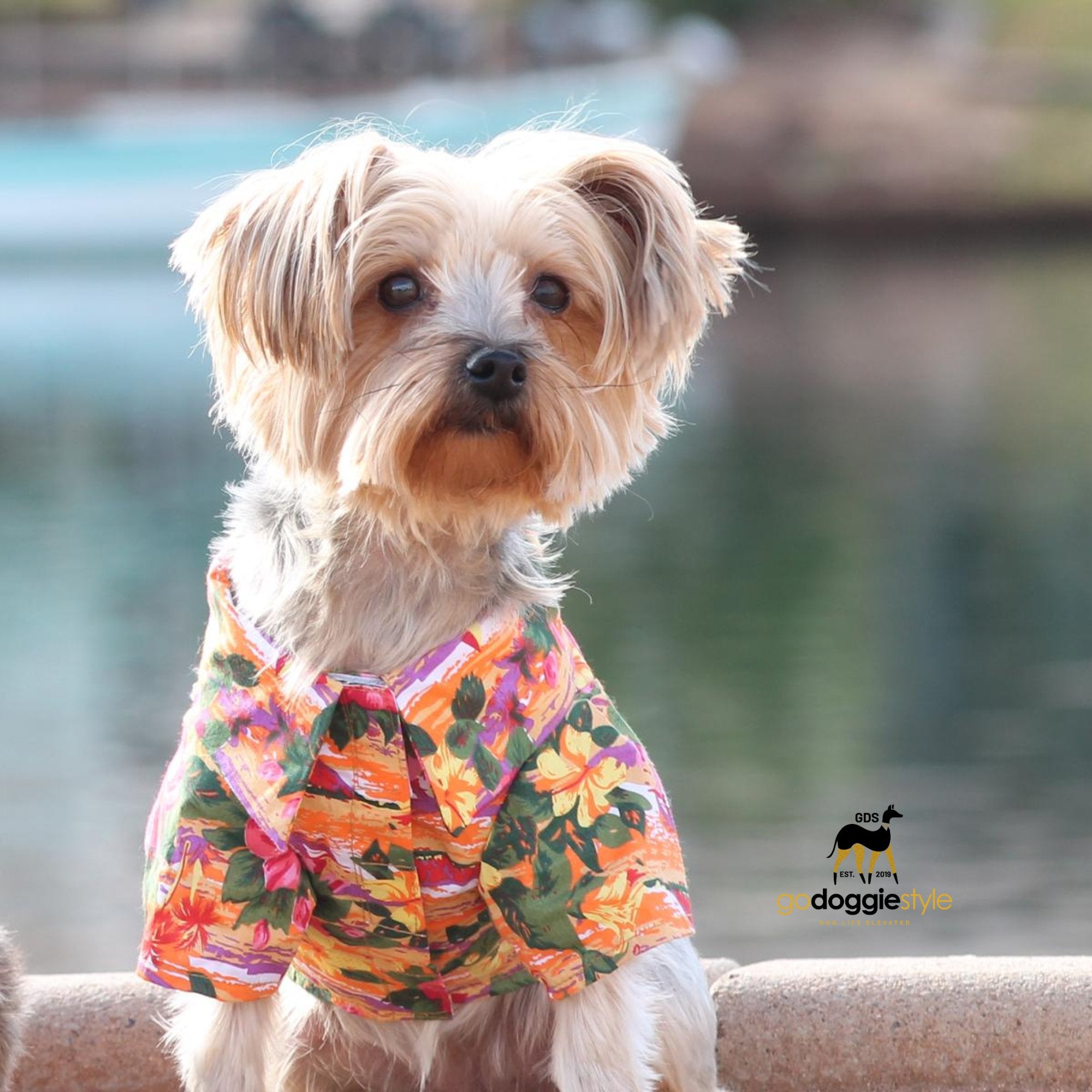 100% Cotton Hawaiian Camp Dog Shirt | Sunset Hibiscus | Spring Summer Dog Shirt | Flower Dog Shirt | XS to XL | godoggiestyle