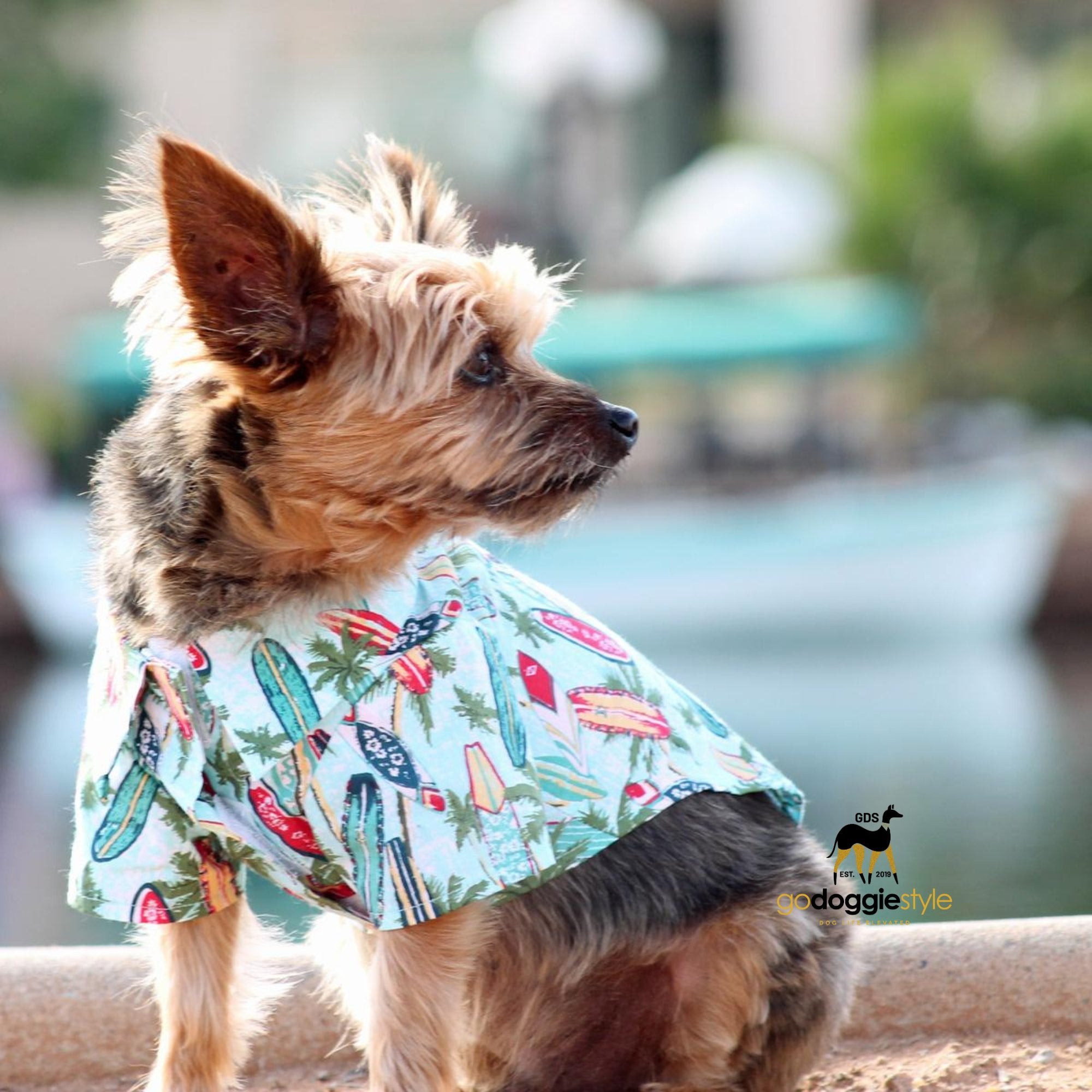 100% Cotton Hawaiian Camp Dog Shirt | Surfboards & Palms | Spring Summer Dog Shirt | Beach Ocean Dog Shirt | godoggiestyle