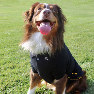 100% Cotton Solid Dog Polo | Jet Black | Dog Polo Shirt | Dog Wearing A Two Button Dog Polo | Dog Shirt & Top | godoggiestyle