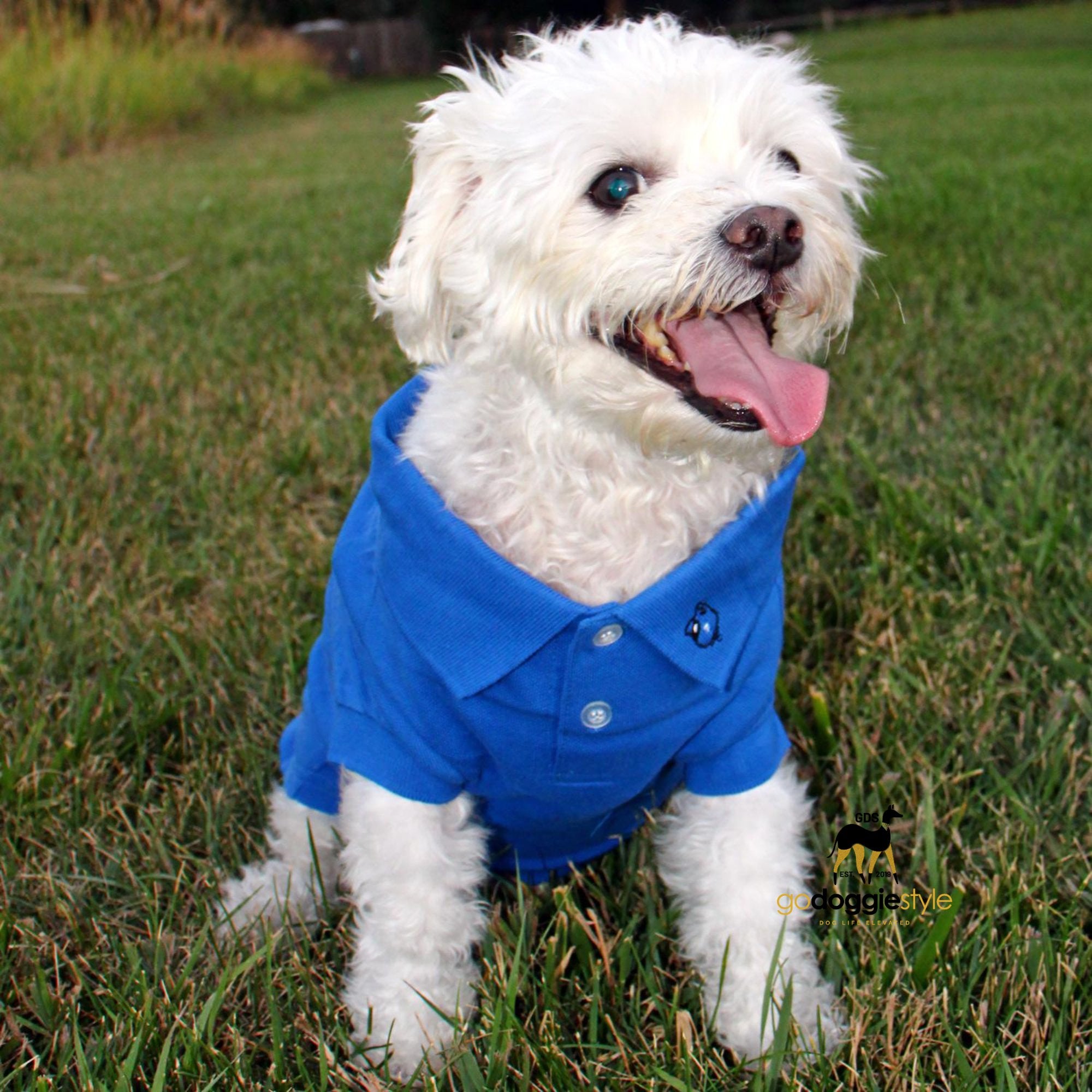 100% Cotton Solid Dog Polo | Nautical Blue | Dog Polo Shirt | Dog In A Two Button Dog Polo | Dog Shirt & Top | godoggiestyle
